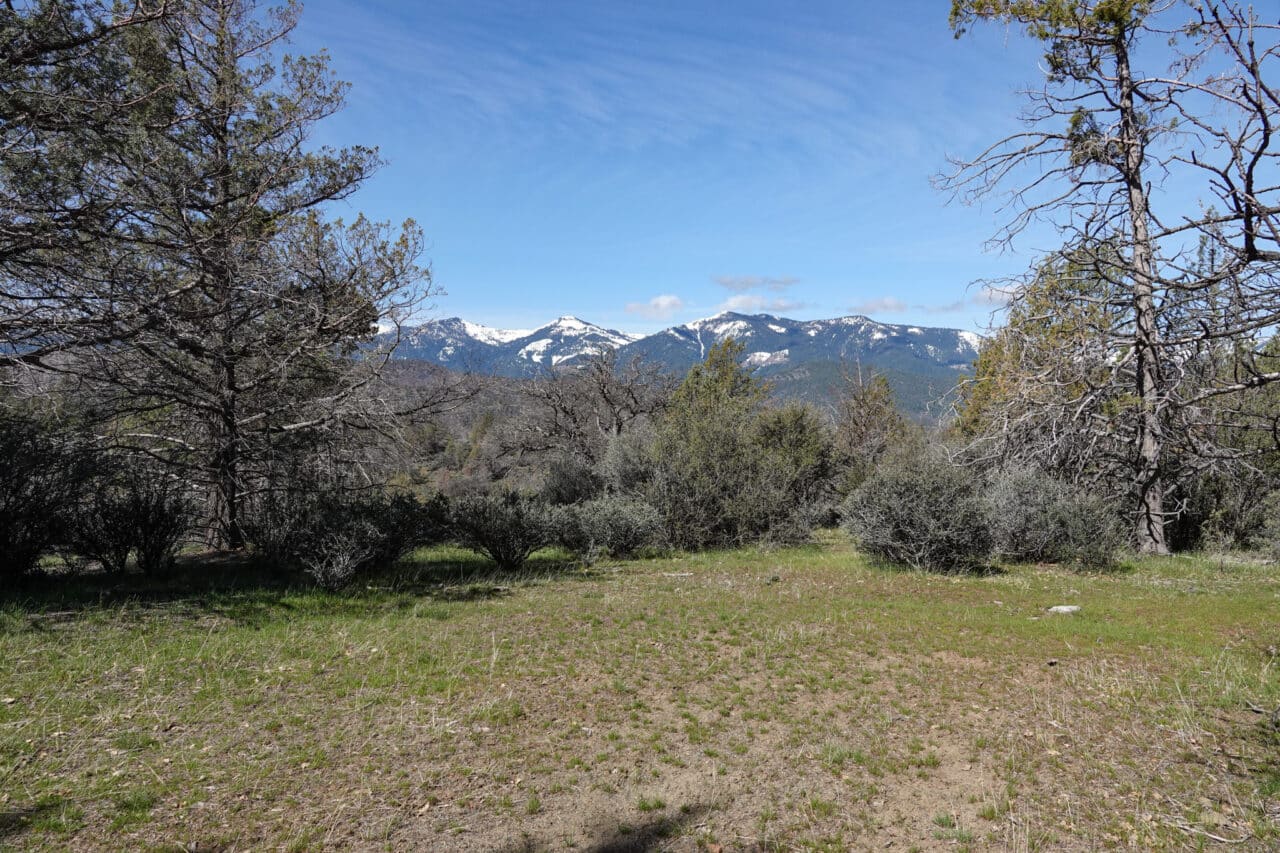 Blacktail Hills Retreat