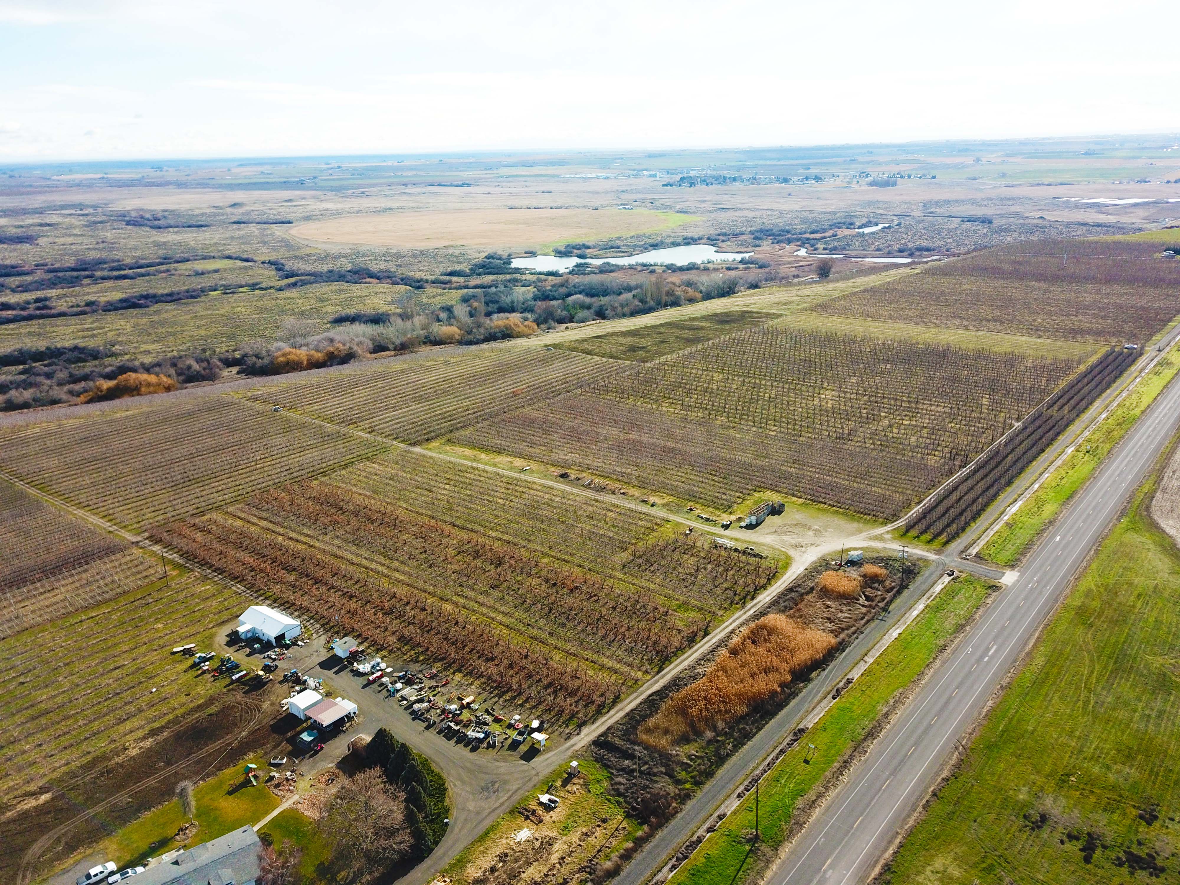 Best Price in County for Productive Orchard