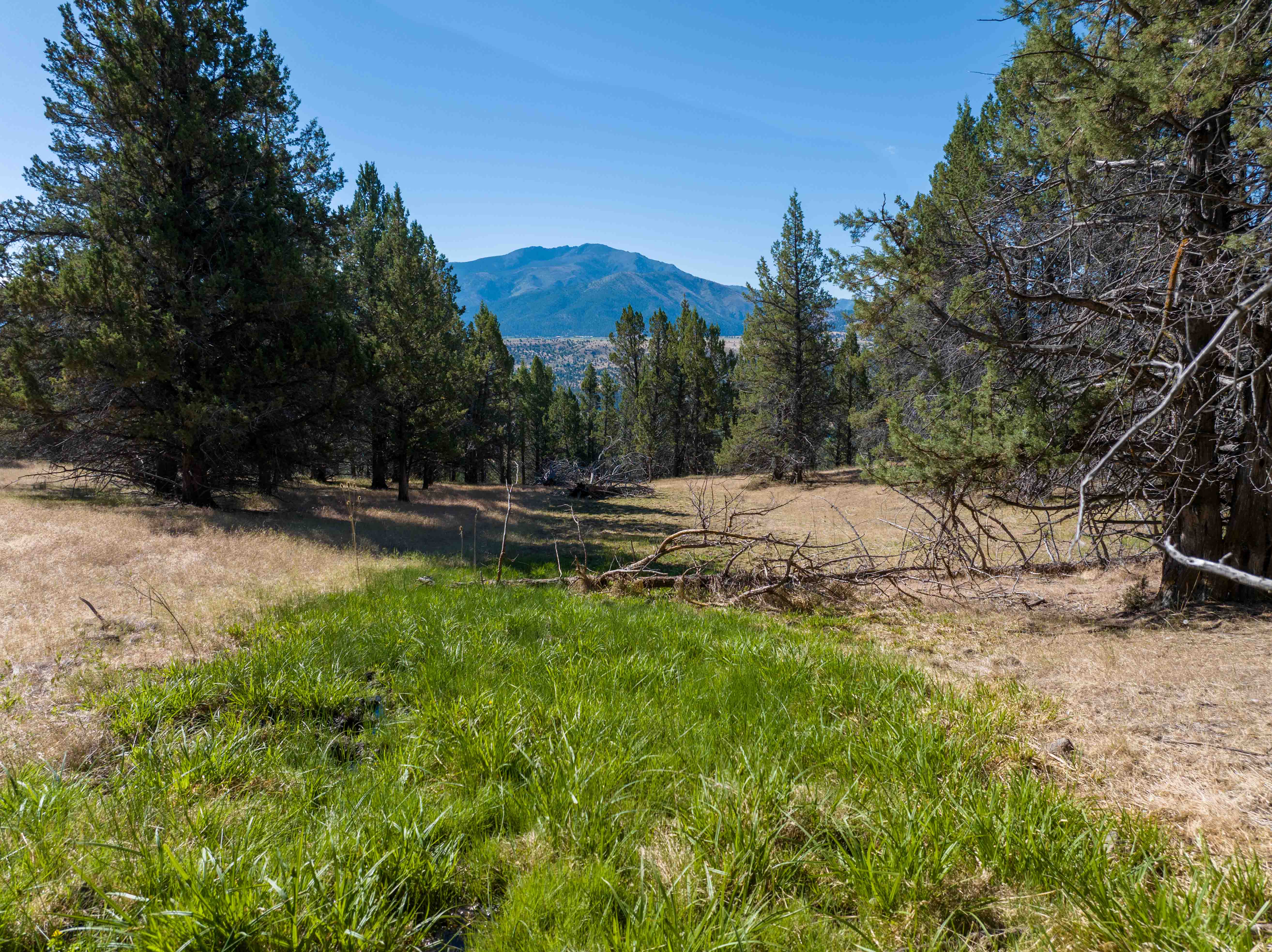 Listing Image 40