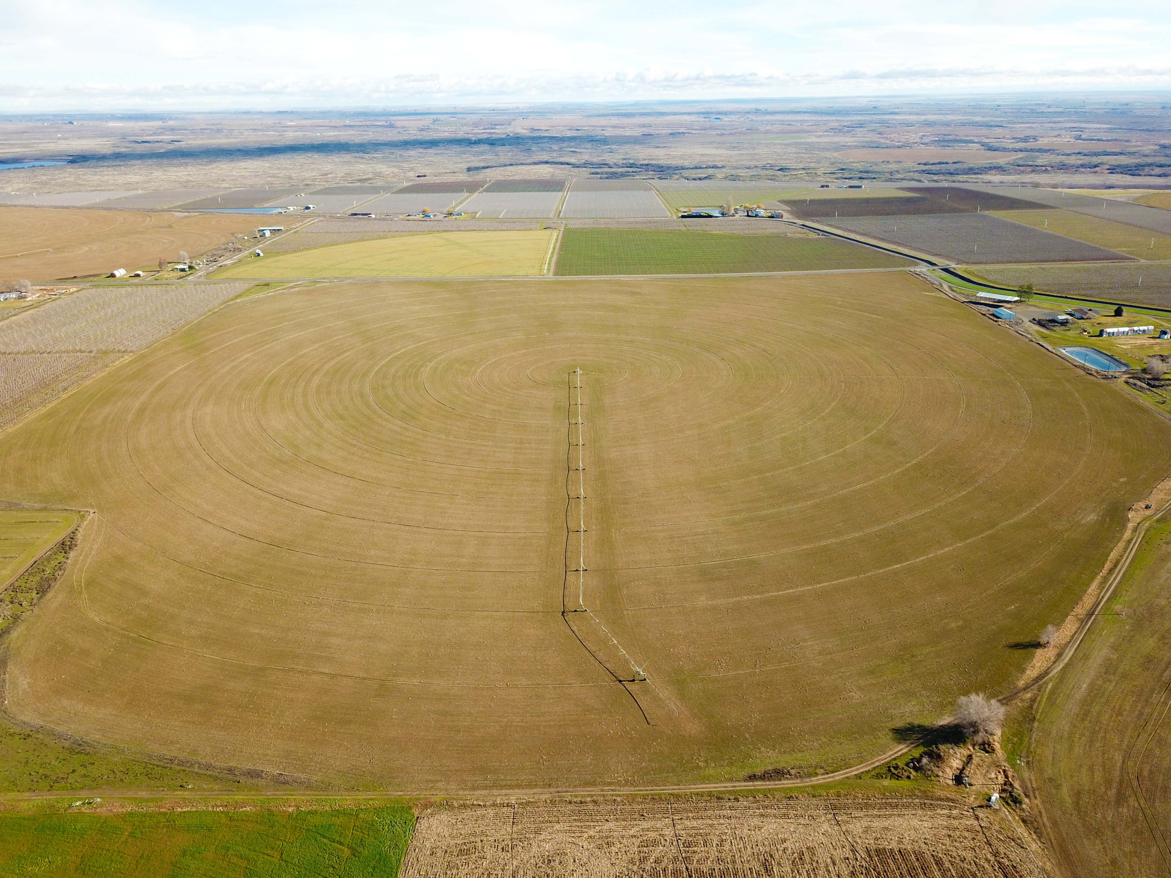 Fern Road Irrigated farm