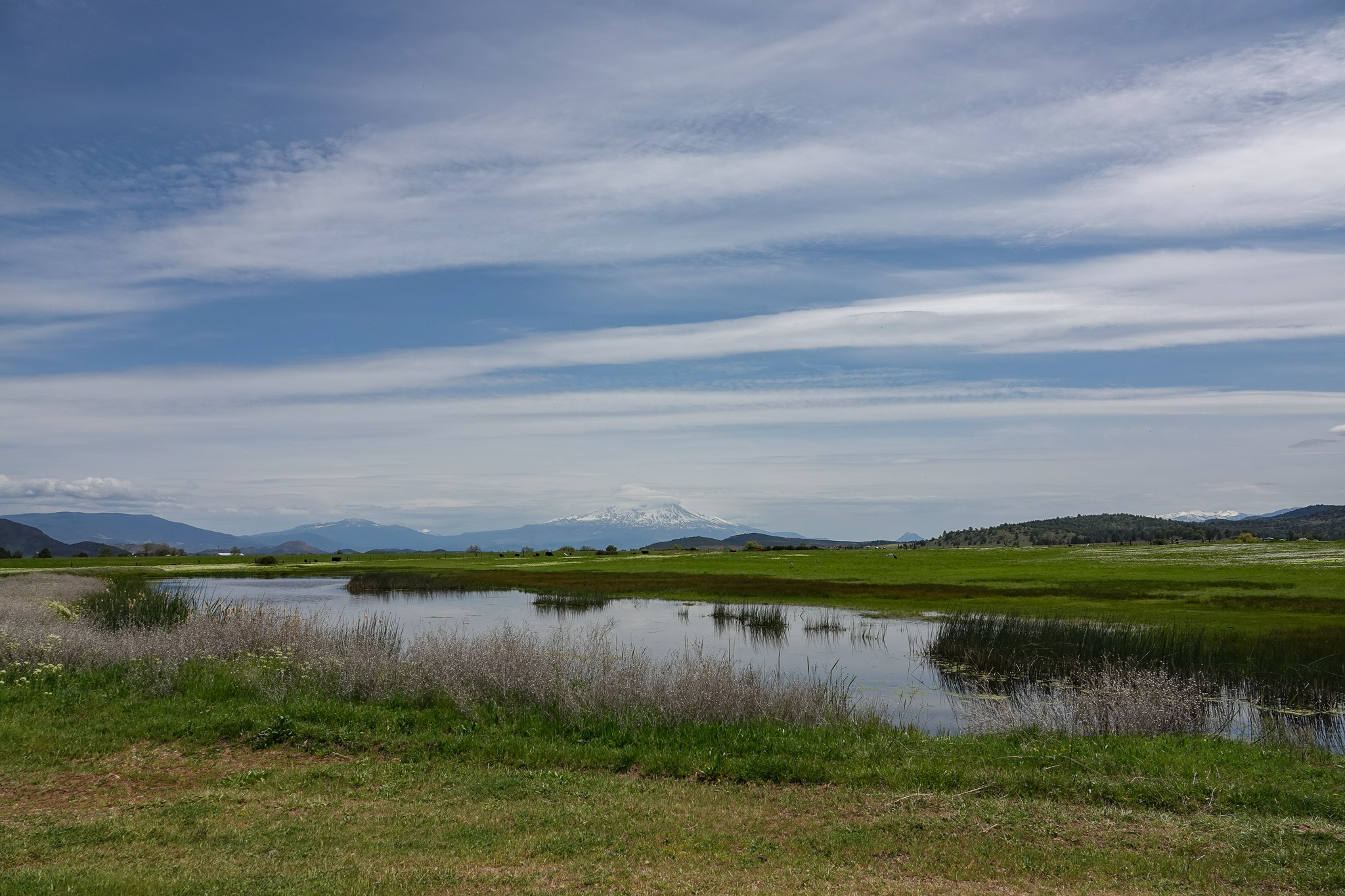 Lorenzini Ranch