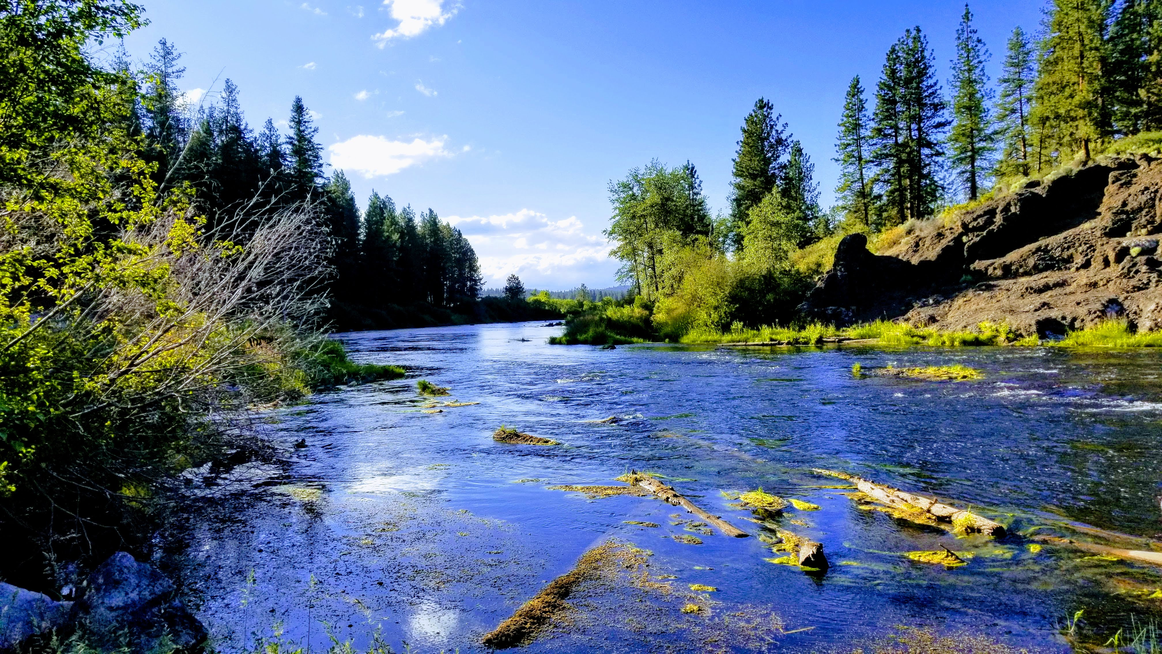 KIRCHER'S WHERE THE COLD-WATER RIVERS MEET THE MOUNTAINS Williamson/Sprague Rivers