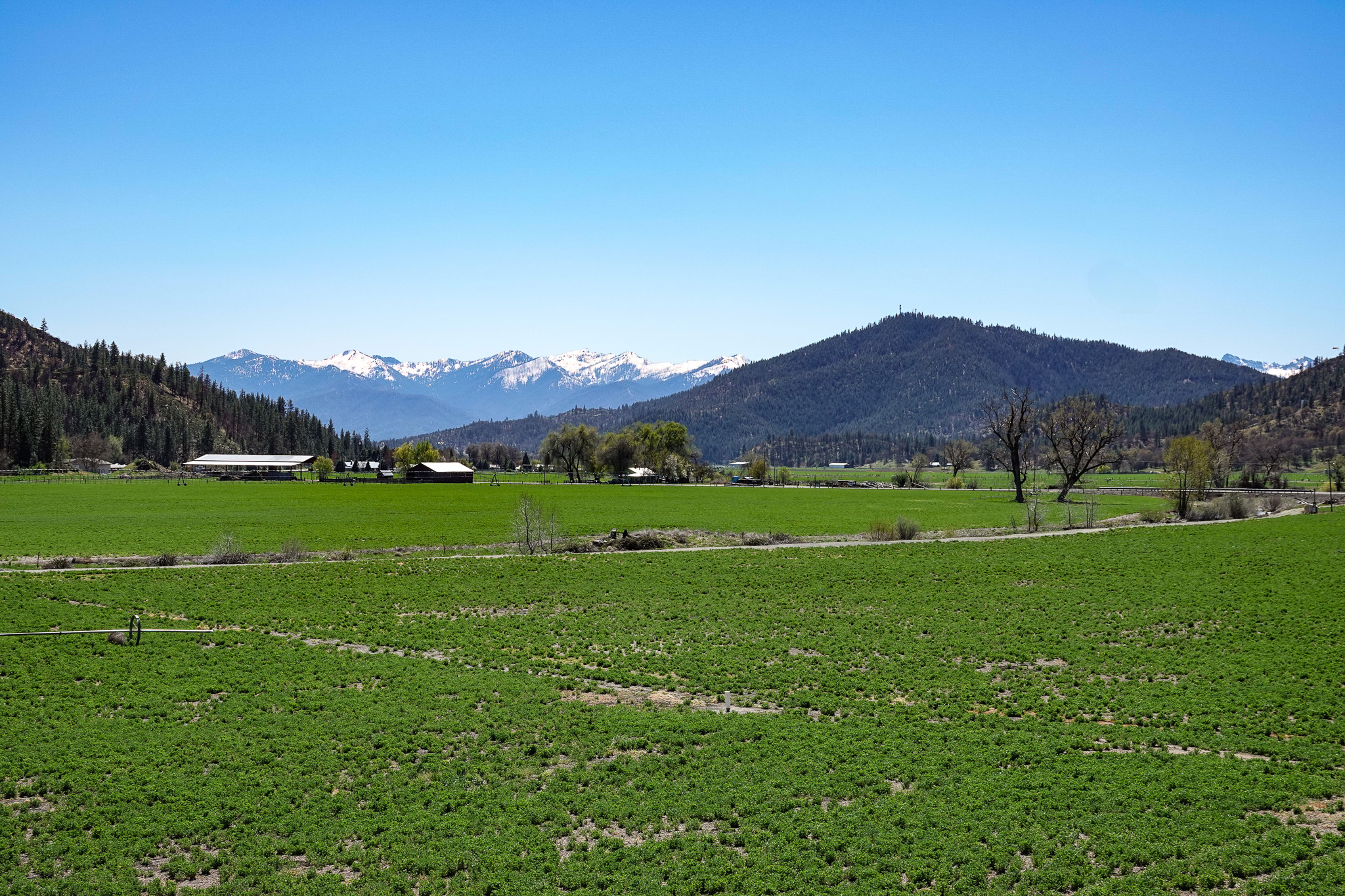 Kraus and Sons Ranch