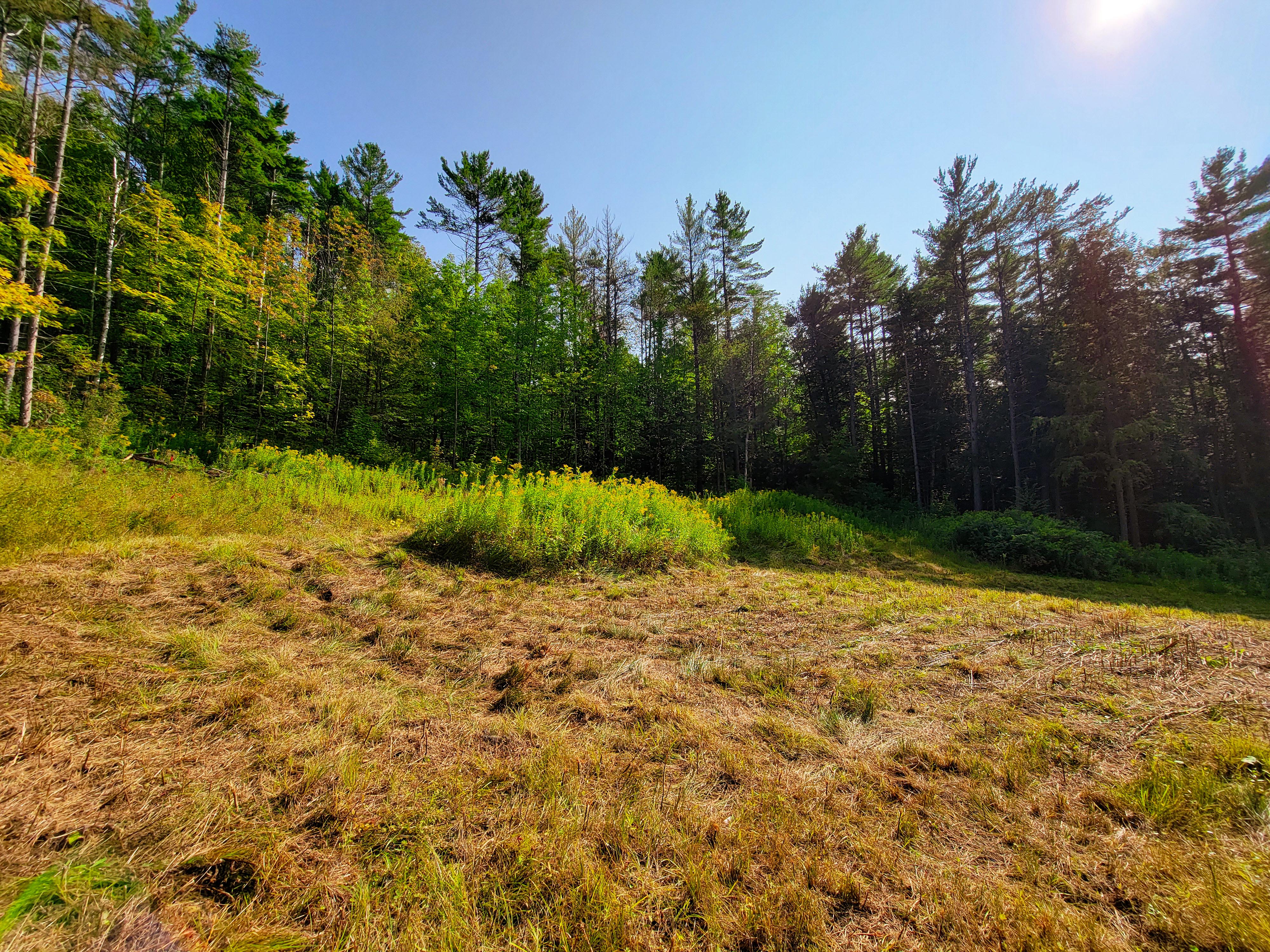 Listing Image 45