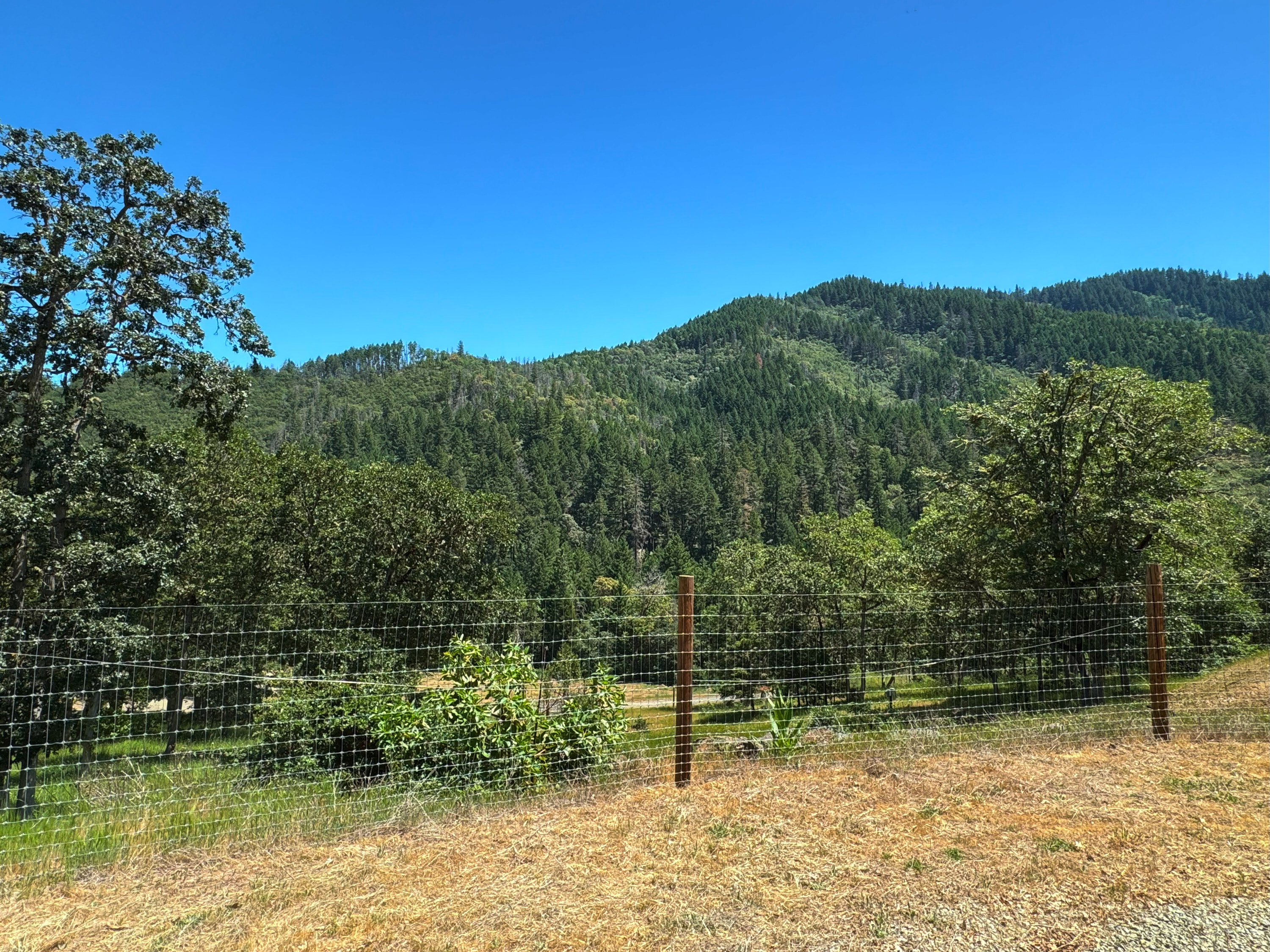 Listing Image 64