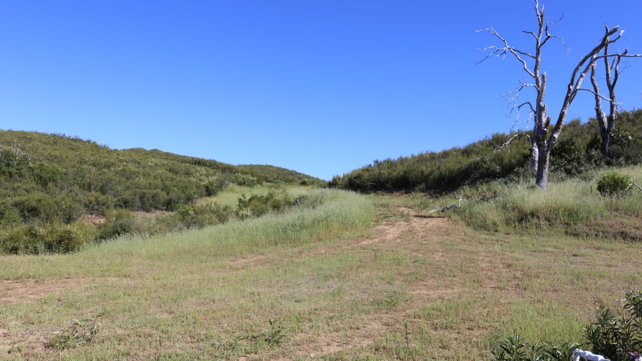 Listing Image 34