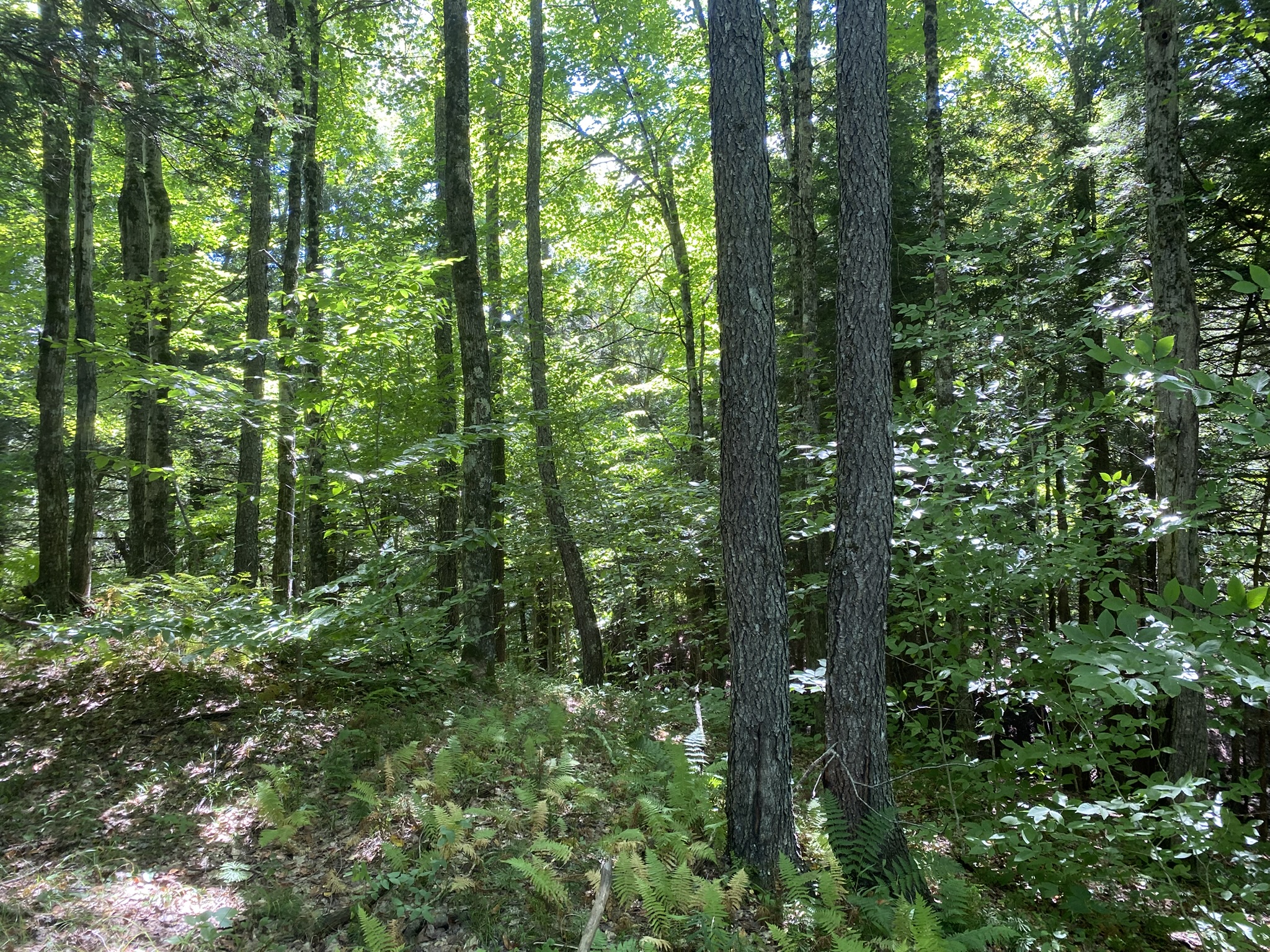 Plumb Brook Country Retreat
