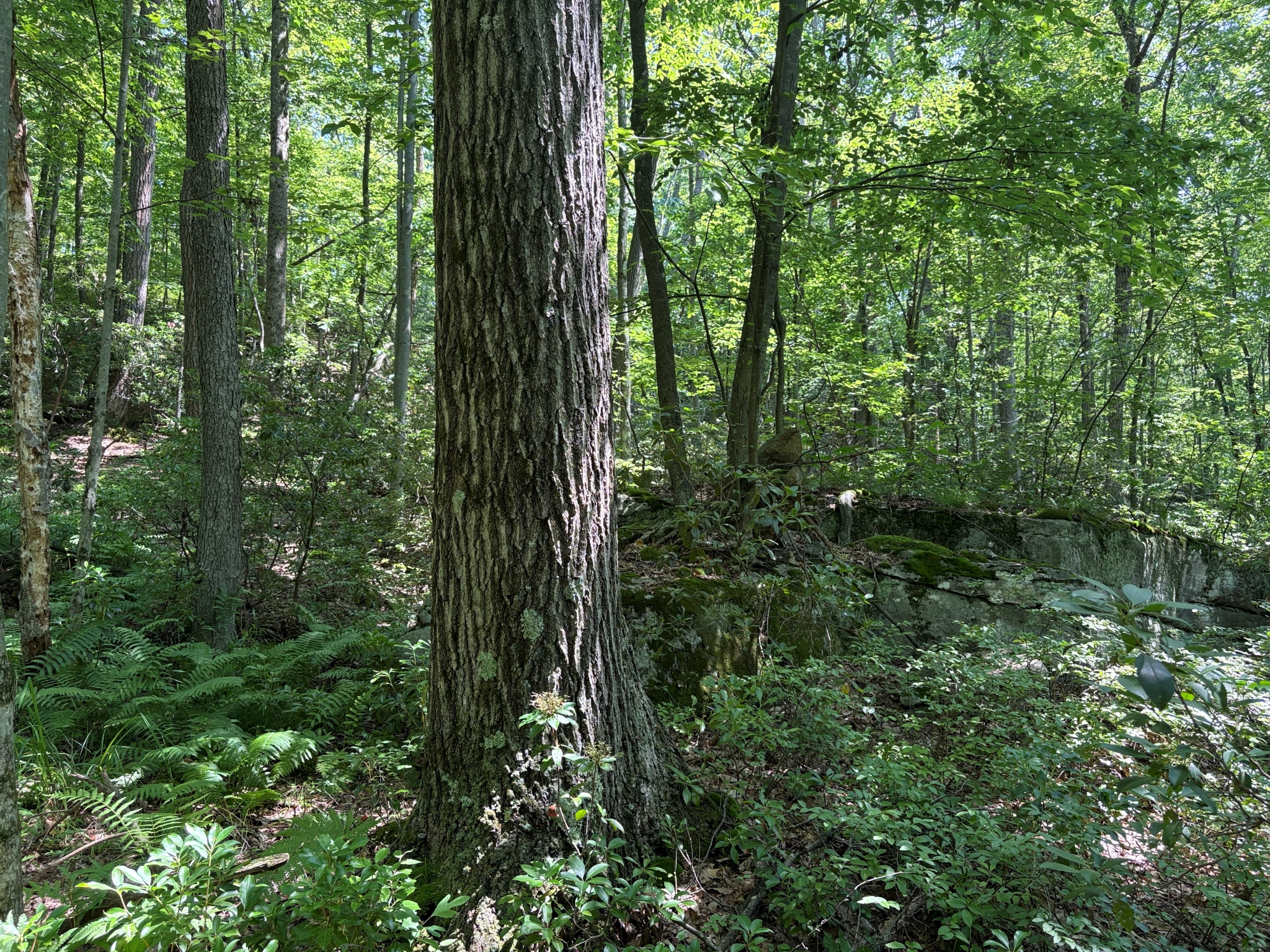 Listing Image 40