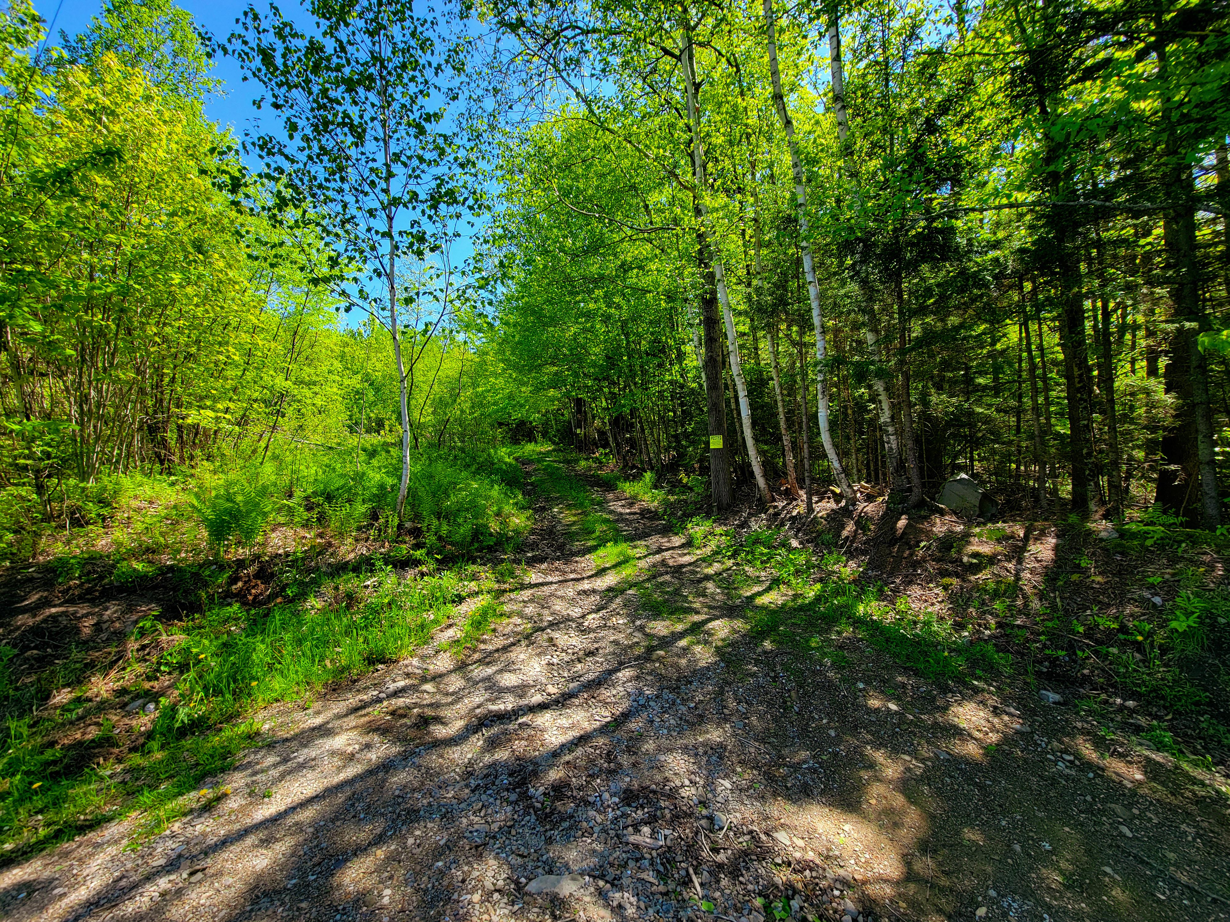 925 Hathaway Rd - Goshen