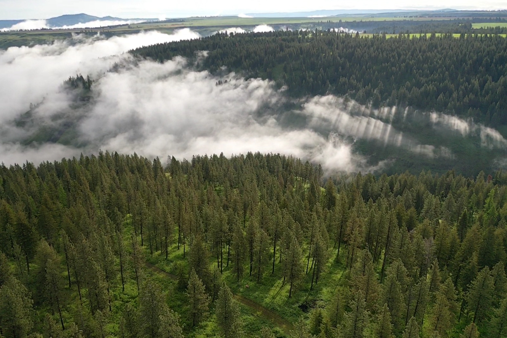 Buford Ridge Ranch