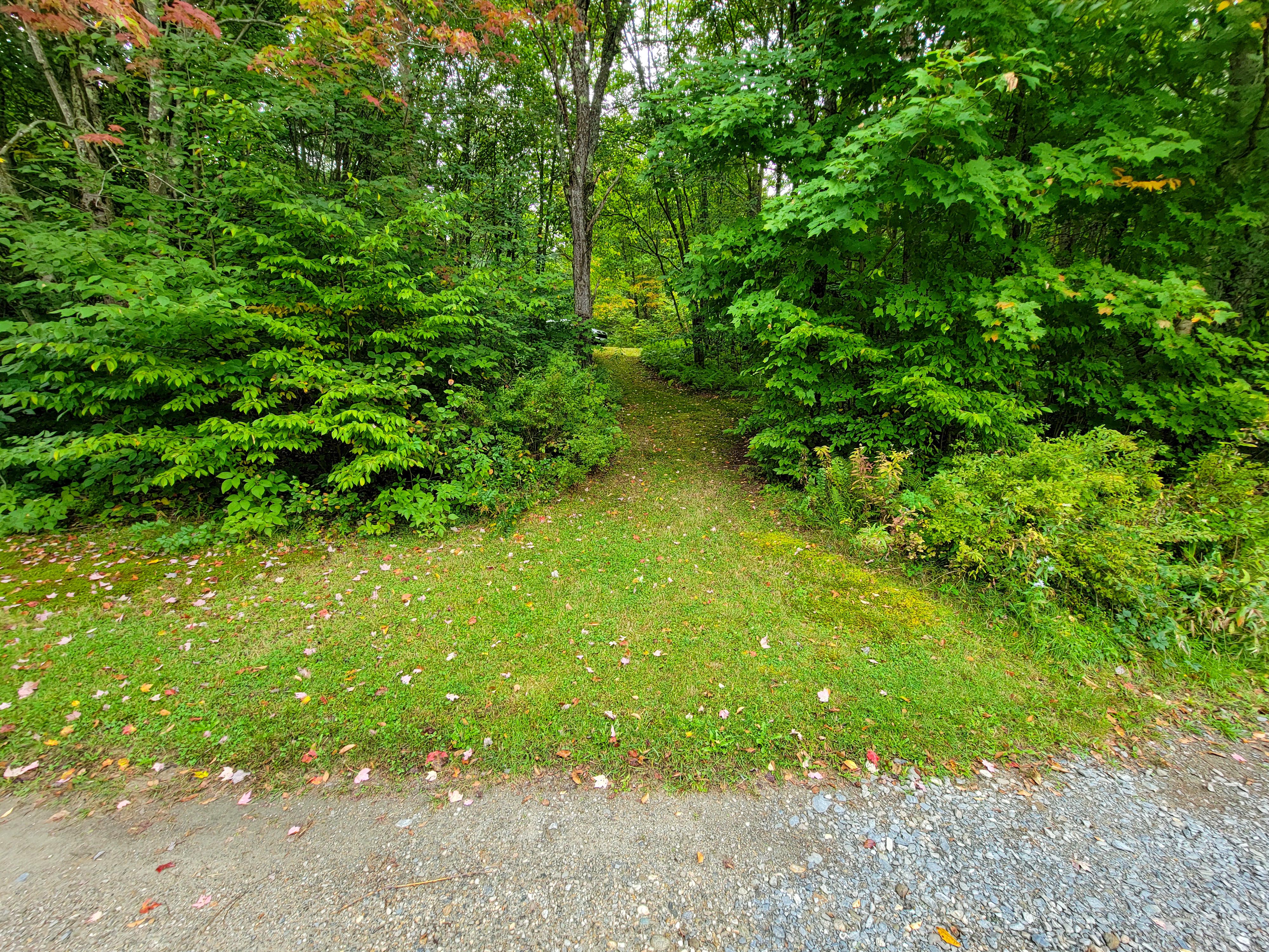 Listing Image 52