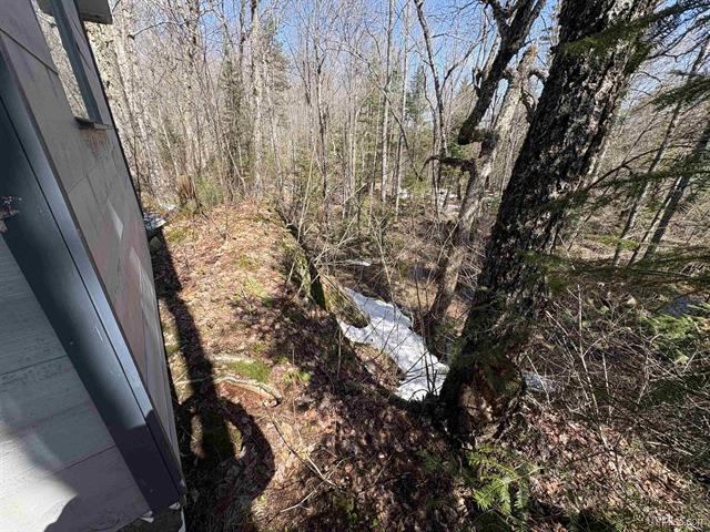 Remote Off Grid 80 A w/Cabin 50173610