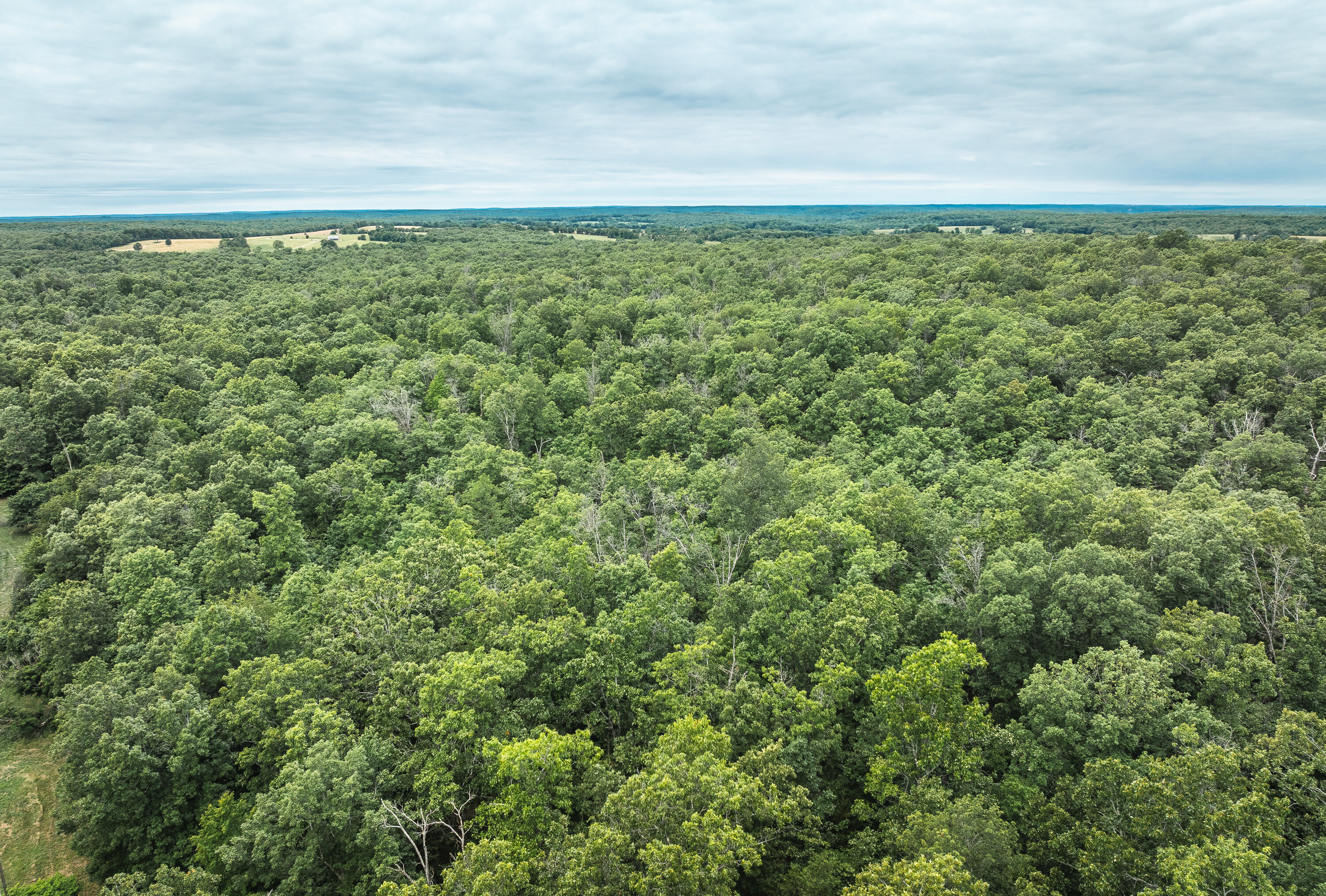 Phelps County Land & Timber 2 Tracts