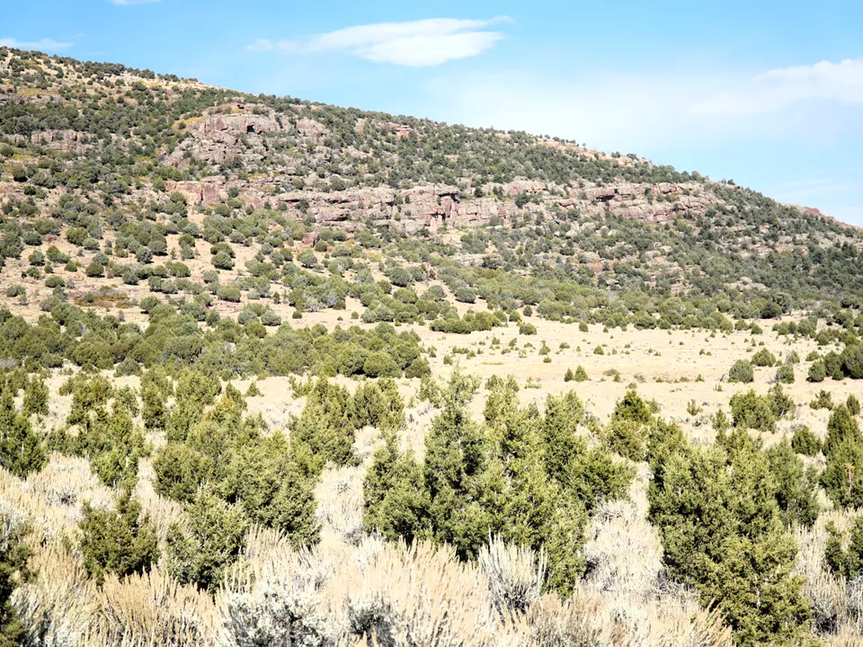 Maybell Grazing & Big Game Ranch