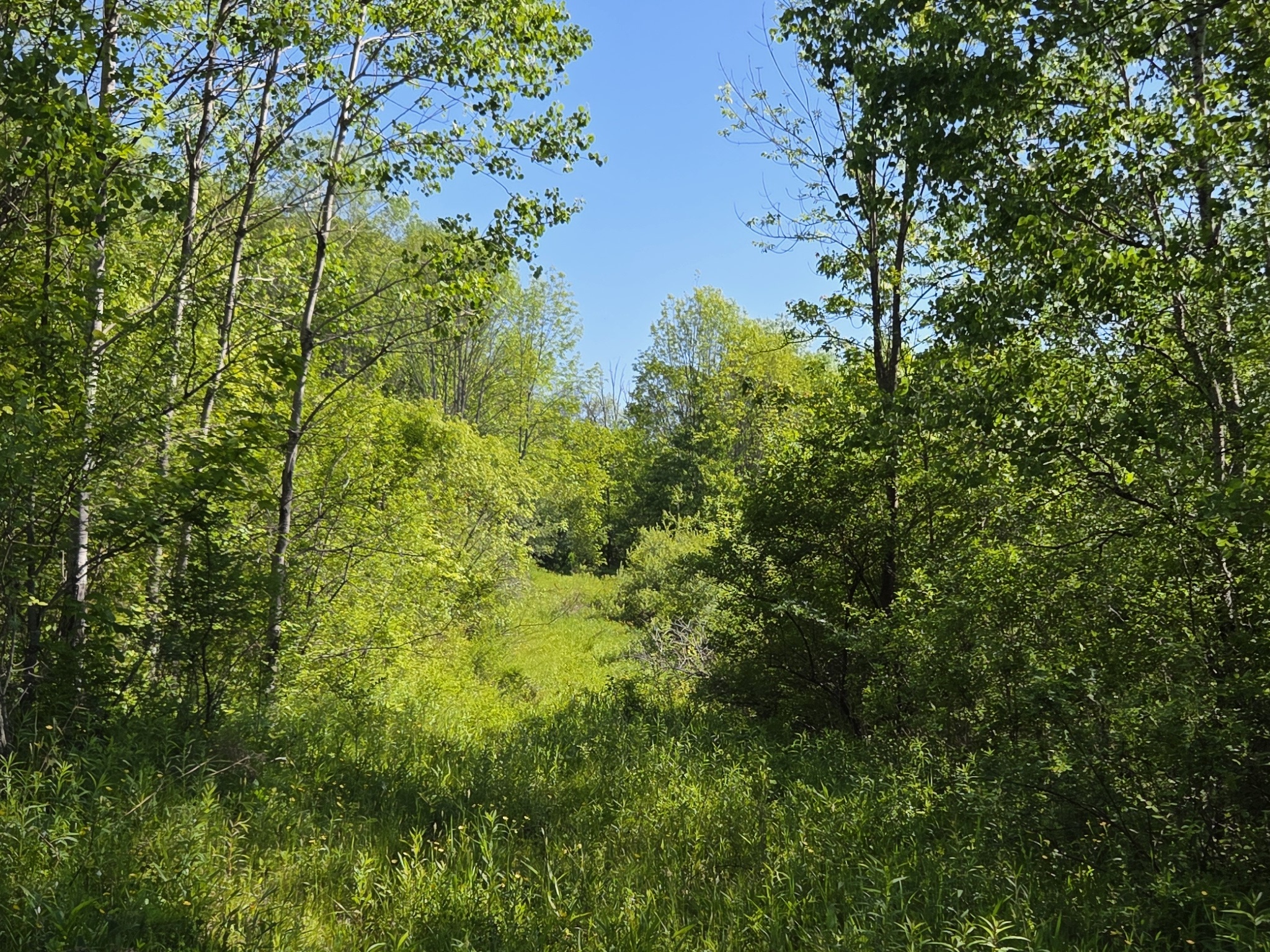 Listing Image 41