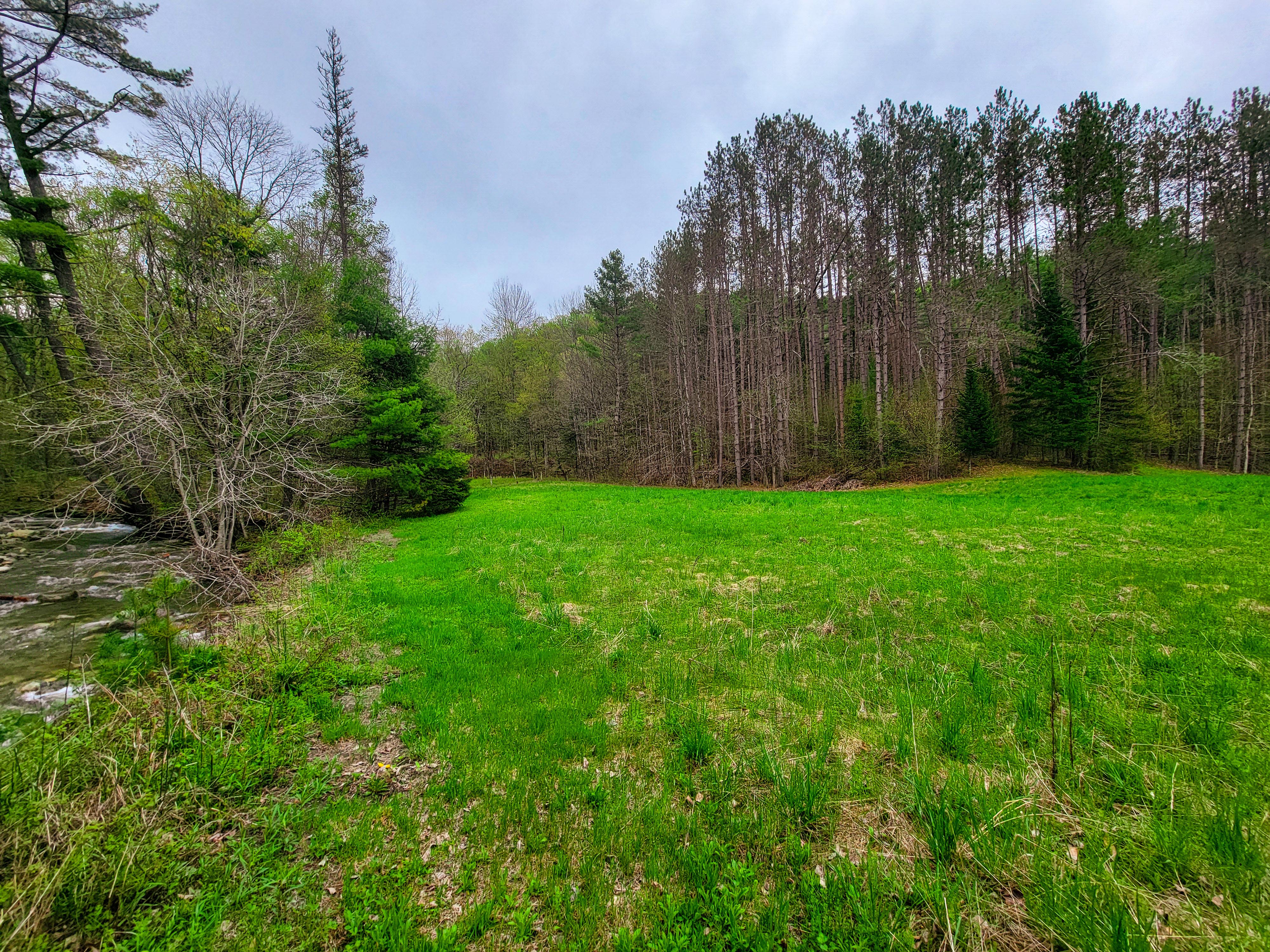 12 Meadowbrook Ln - Chelsea