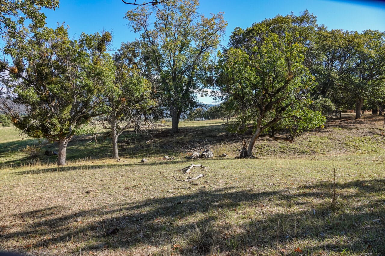 Listing Image 52