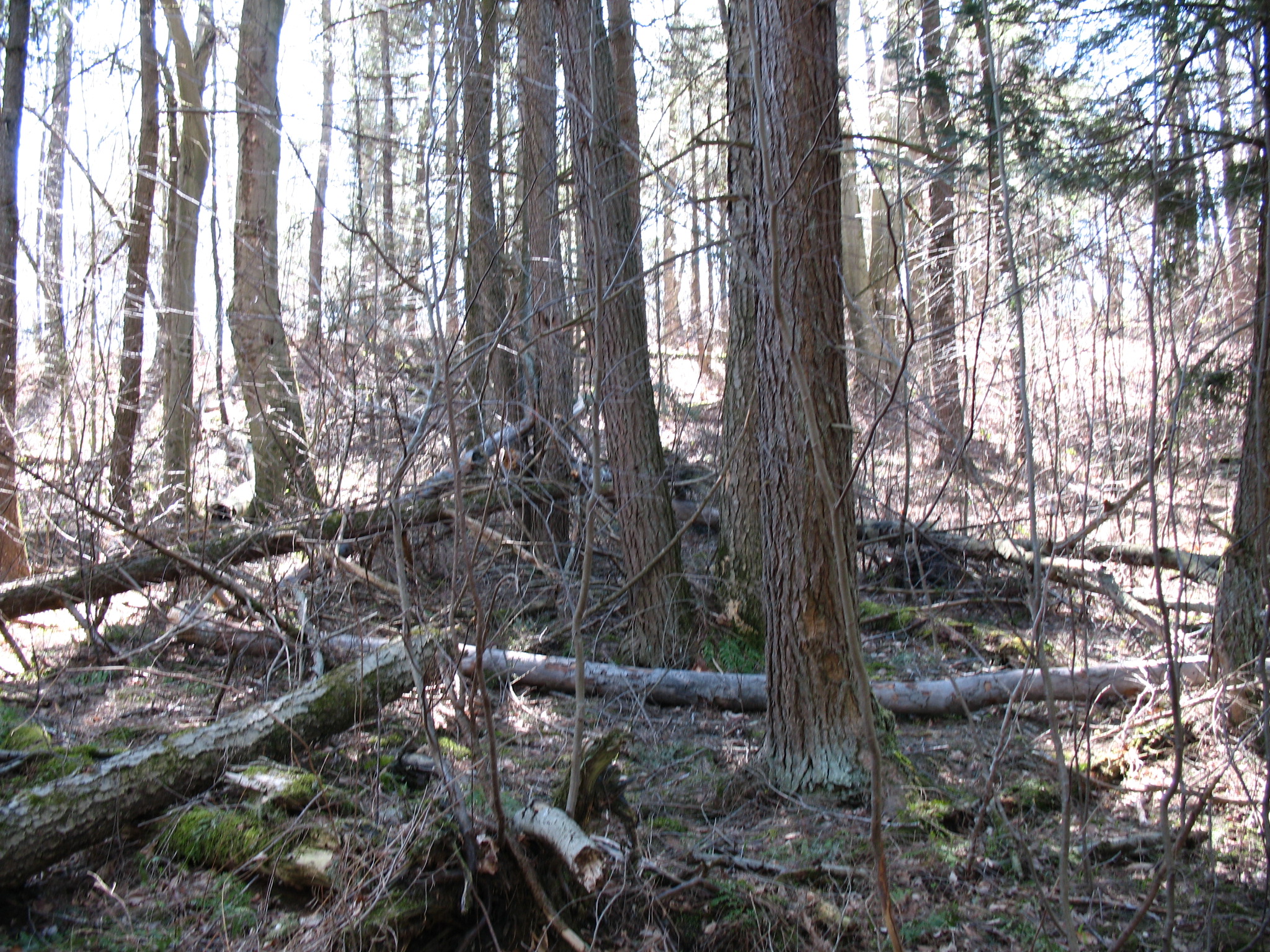Listing Image 29