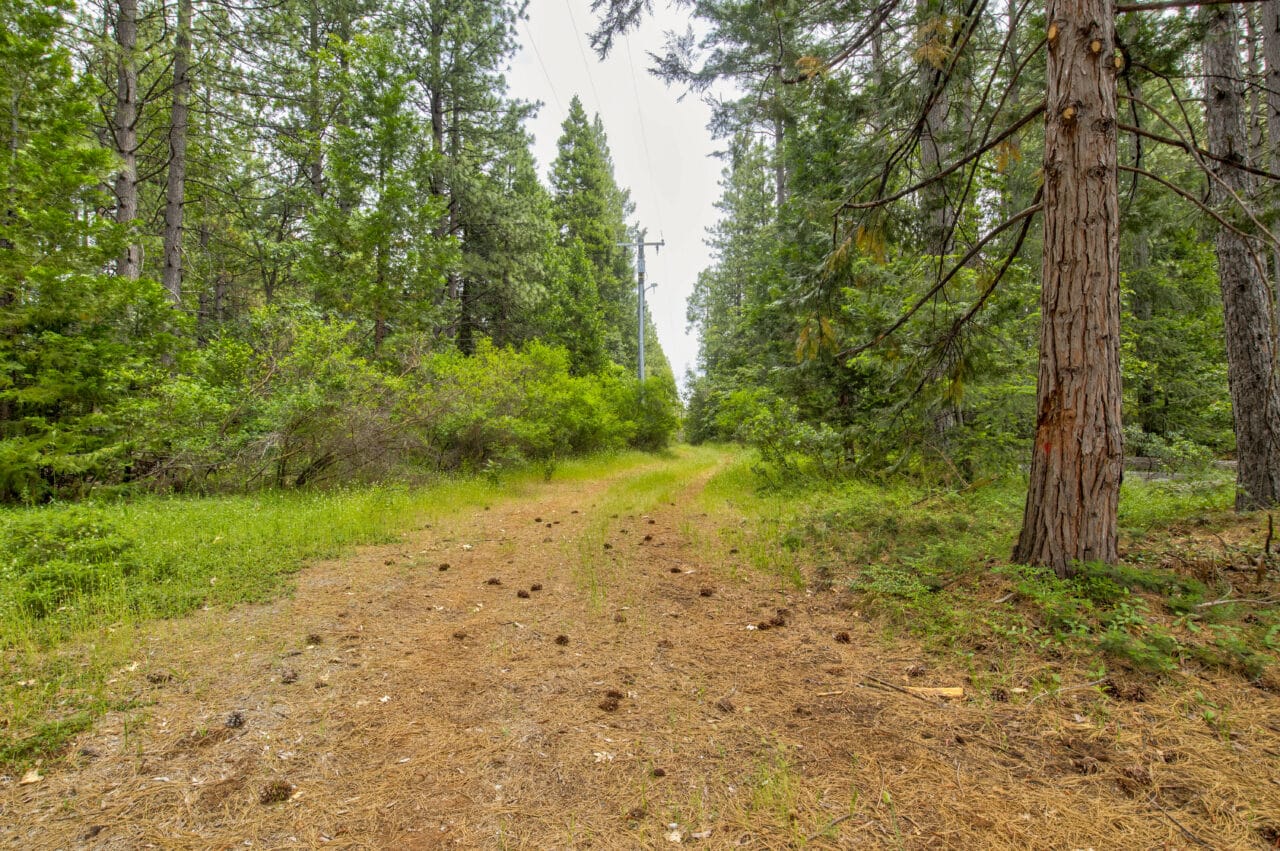 Foresthill Divide