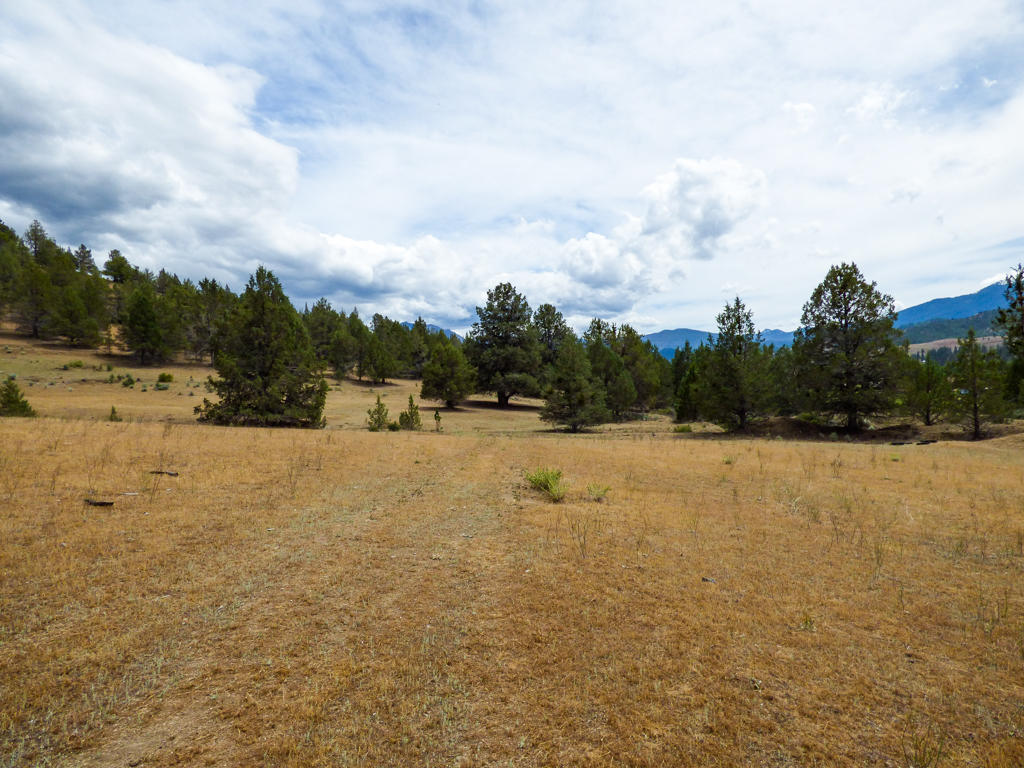 Blacktail Hills Retreat