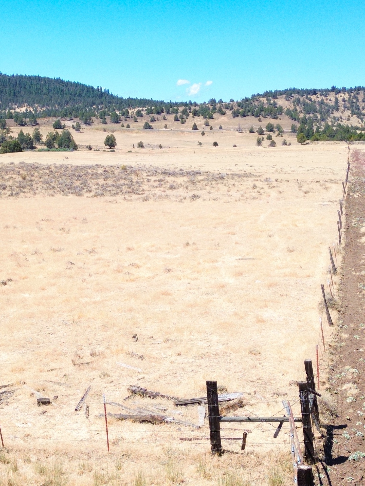 Crane Ranch