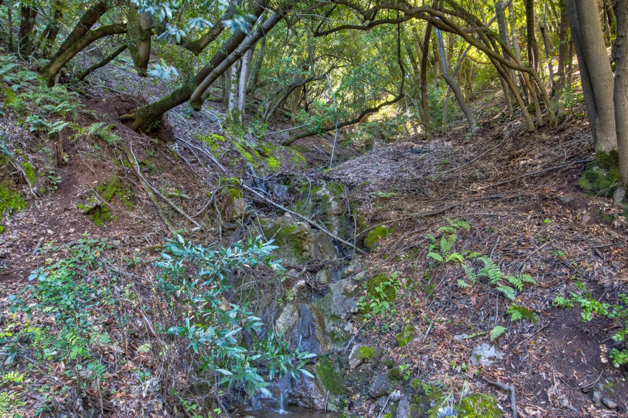 Listing Image 17