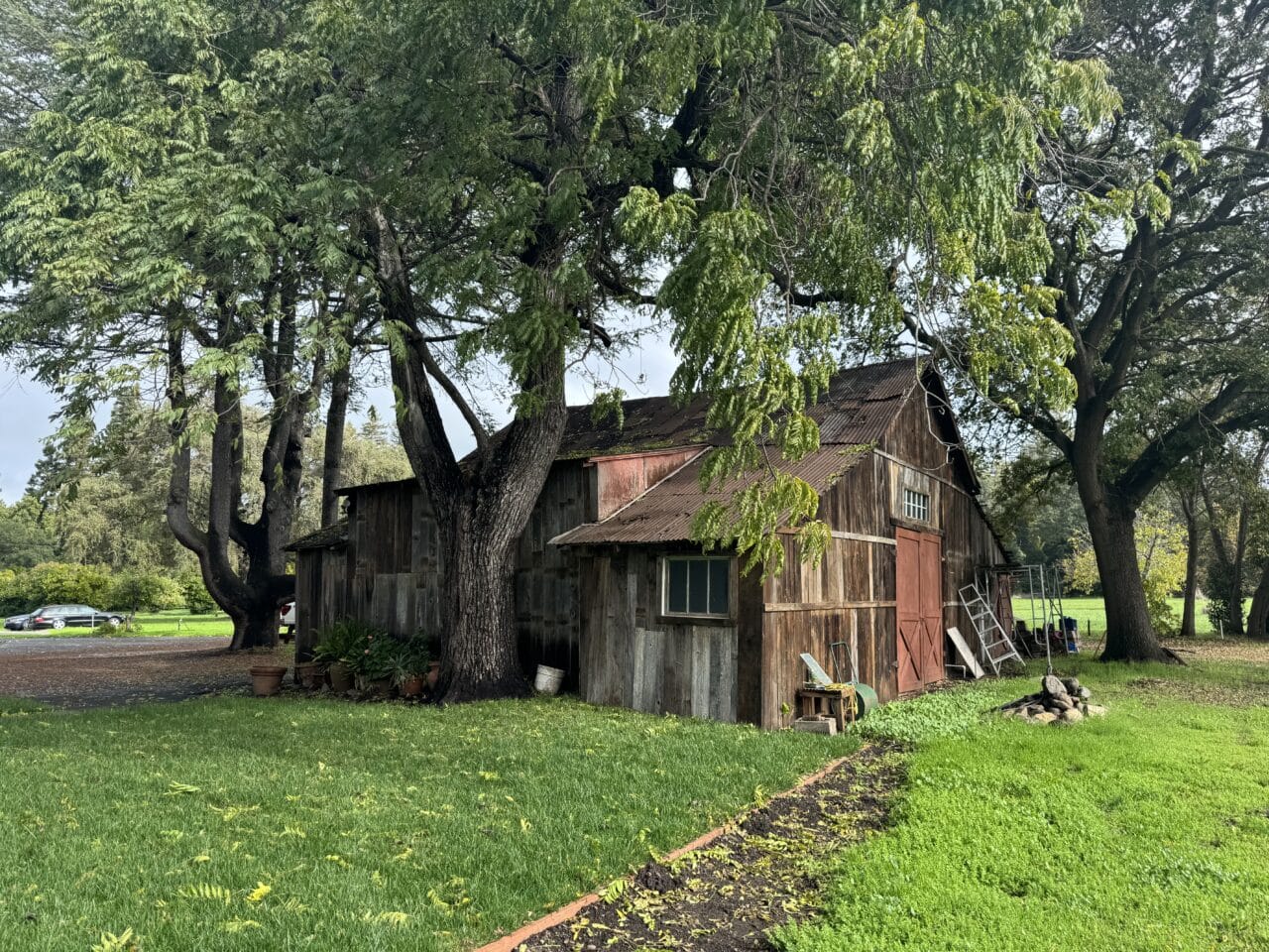 Cereda Ranch