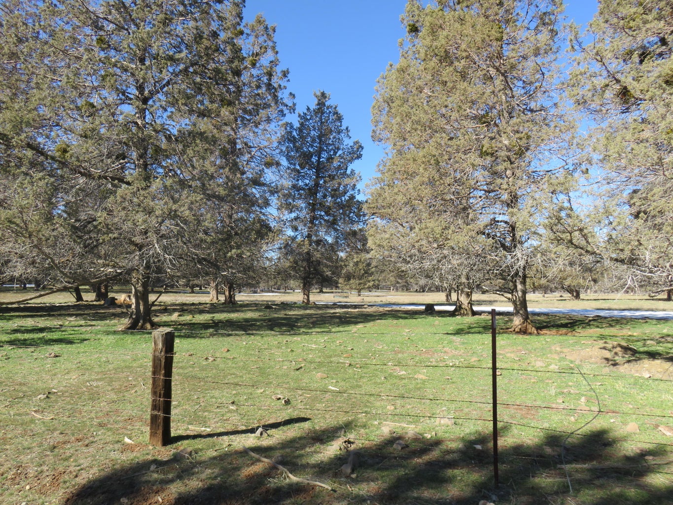 Lennon Lookout Ranch