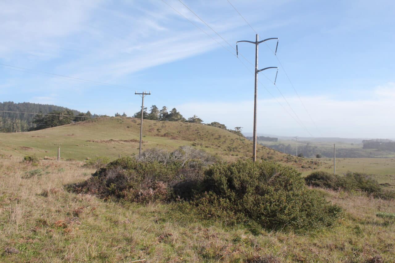 Listing Image 56