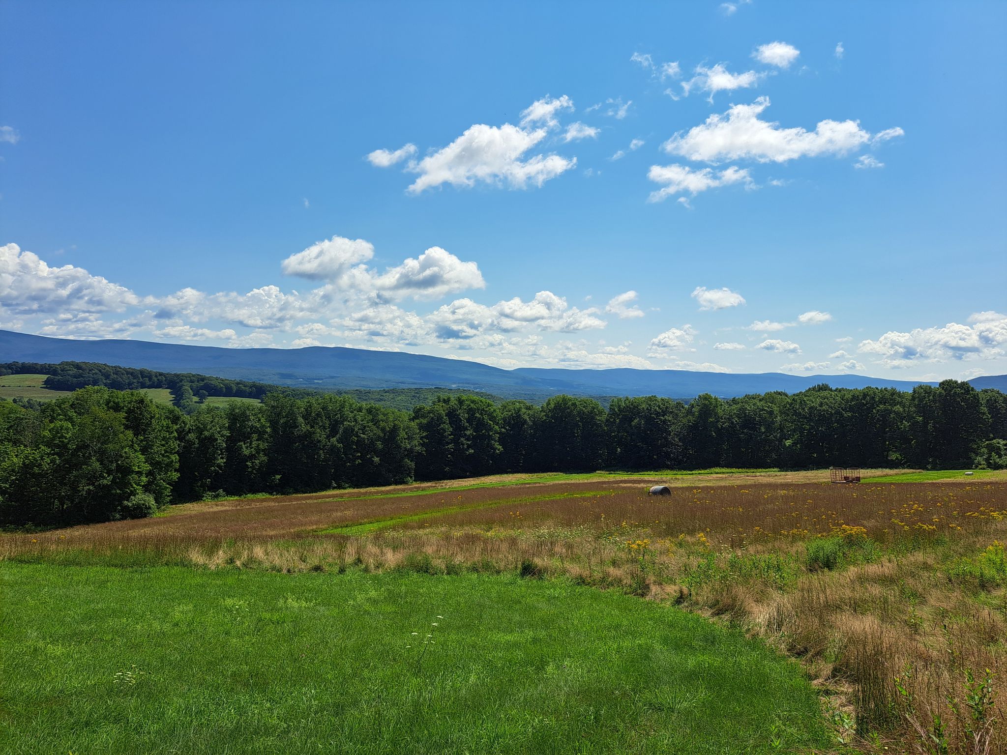 Listing Image 17