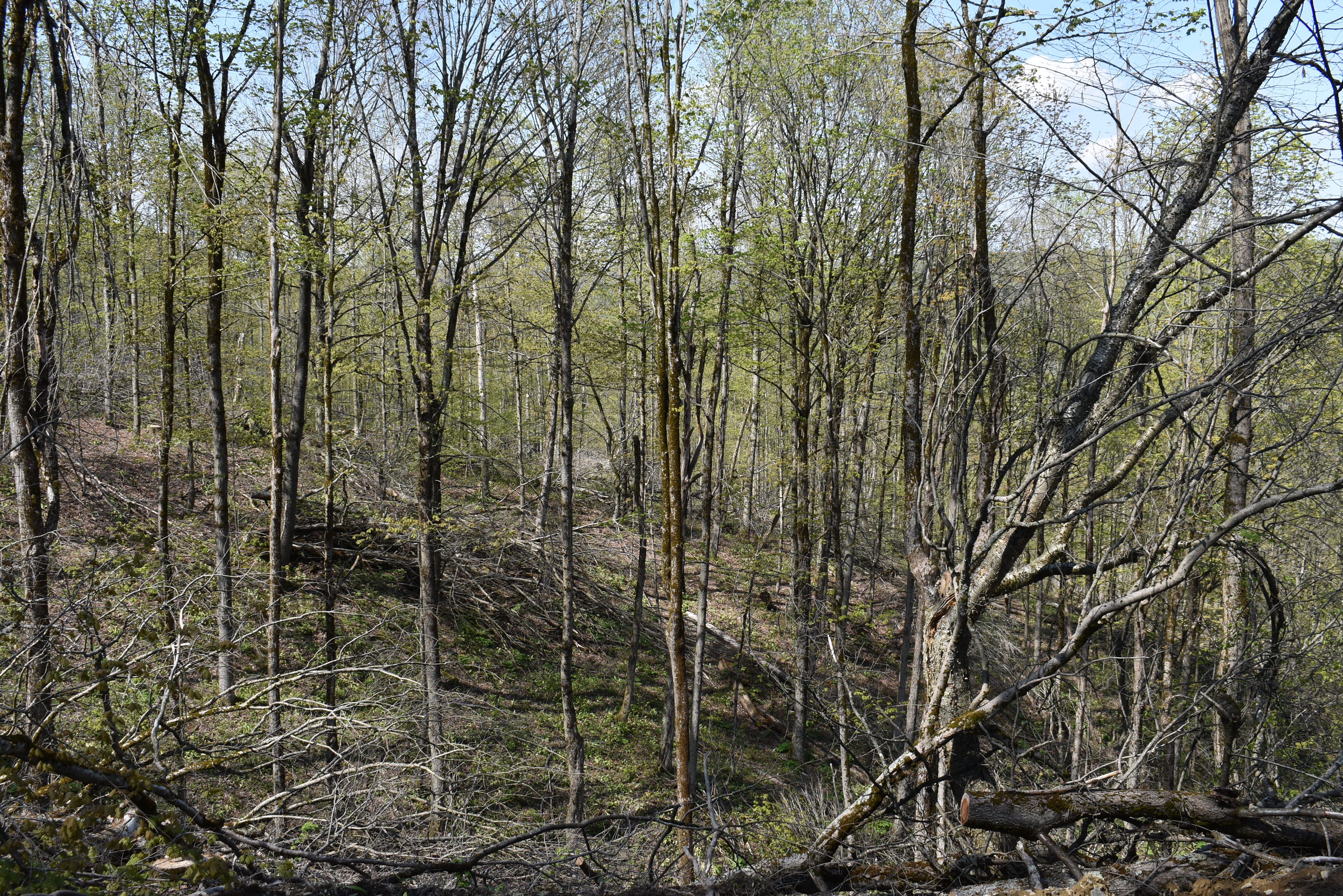 Listing Image 17