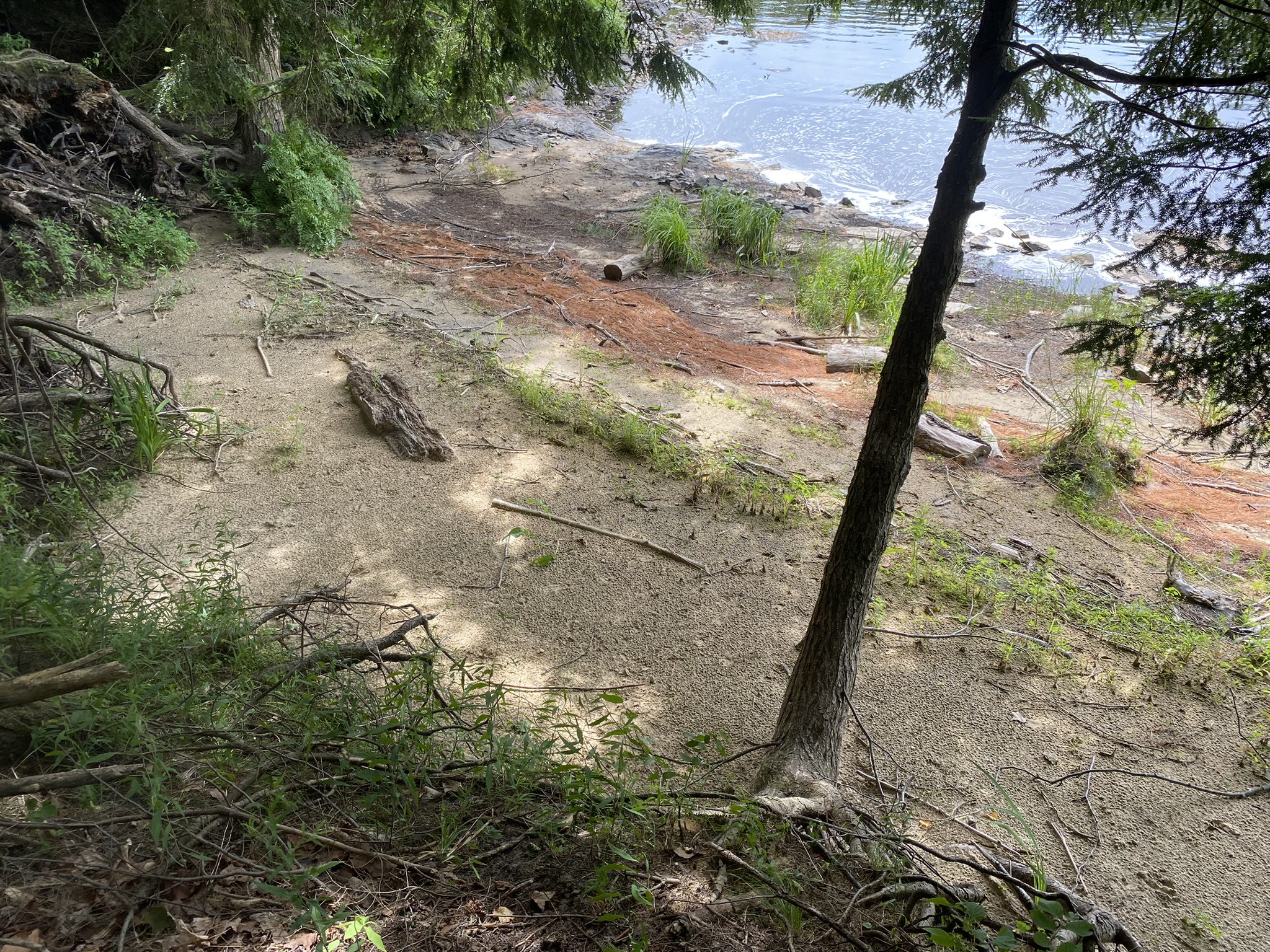 Listing Image 37