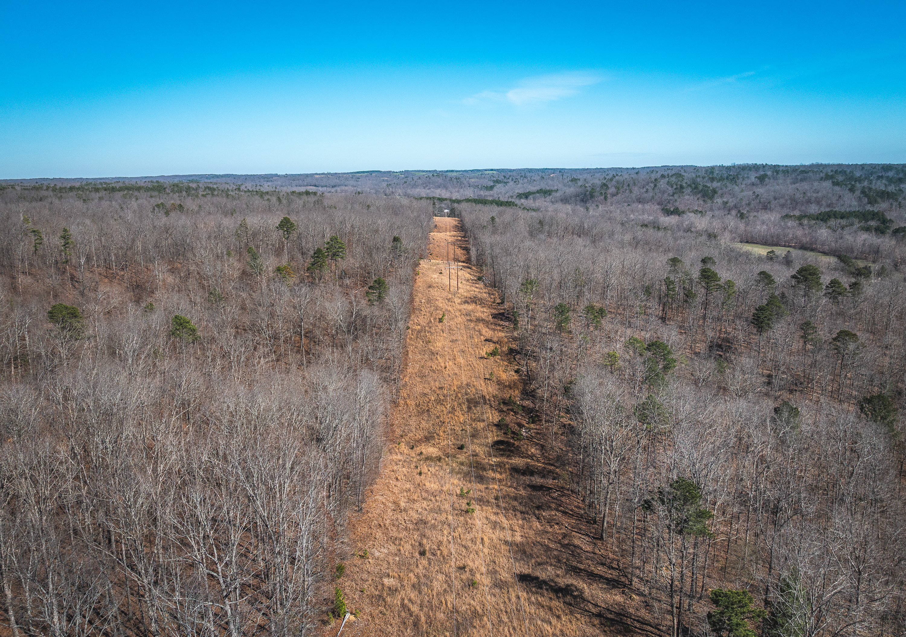 58 Acre Wildlife Retreat