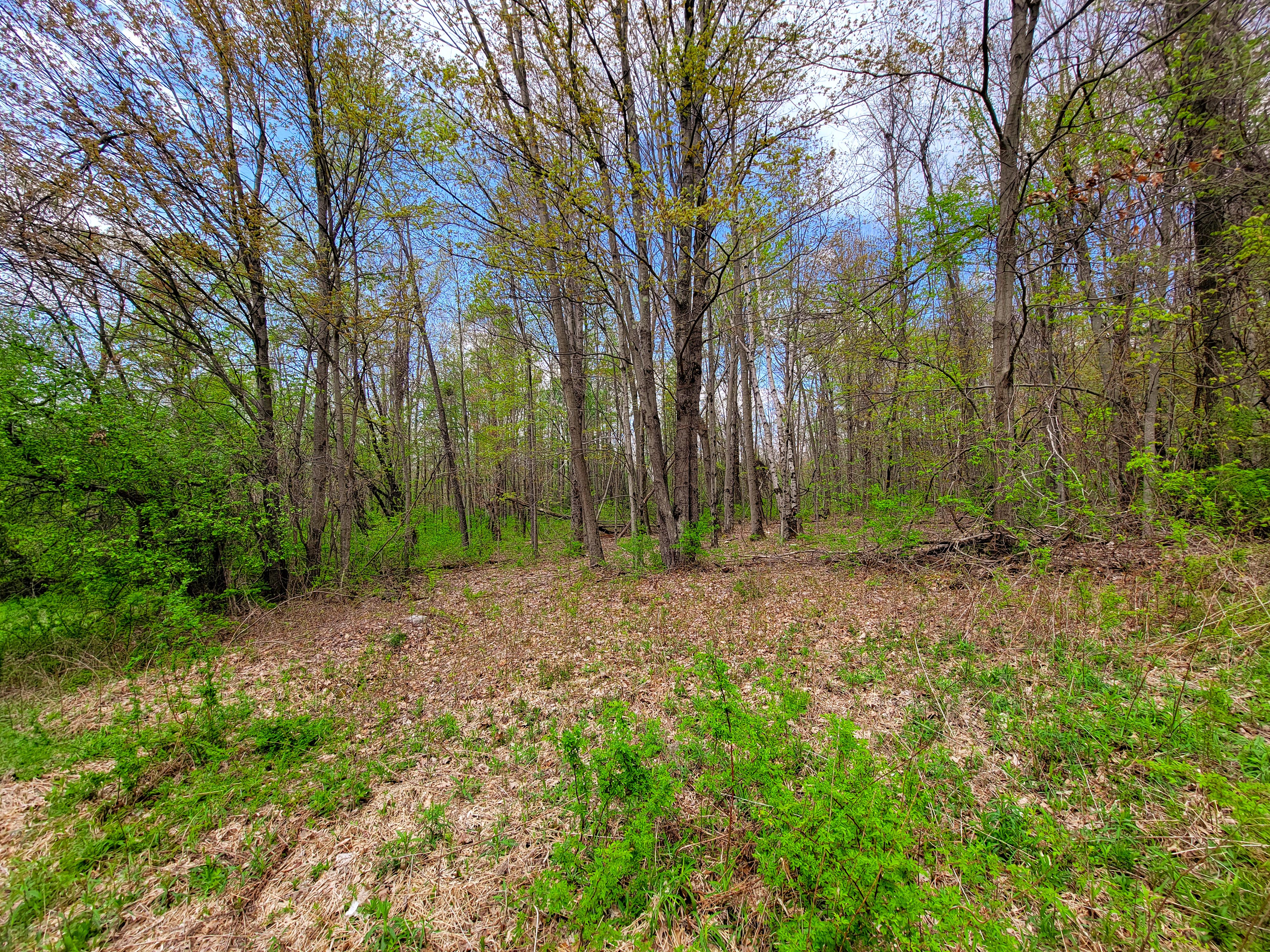 Listing Image 33