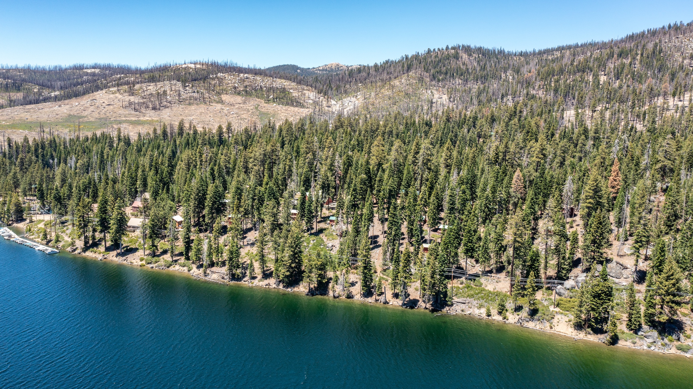 Listing Image 81