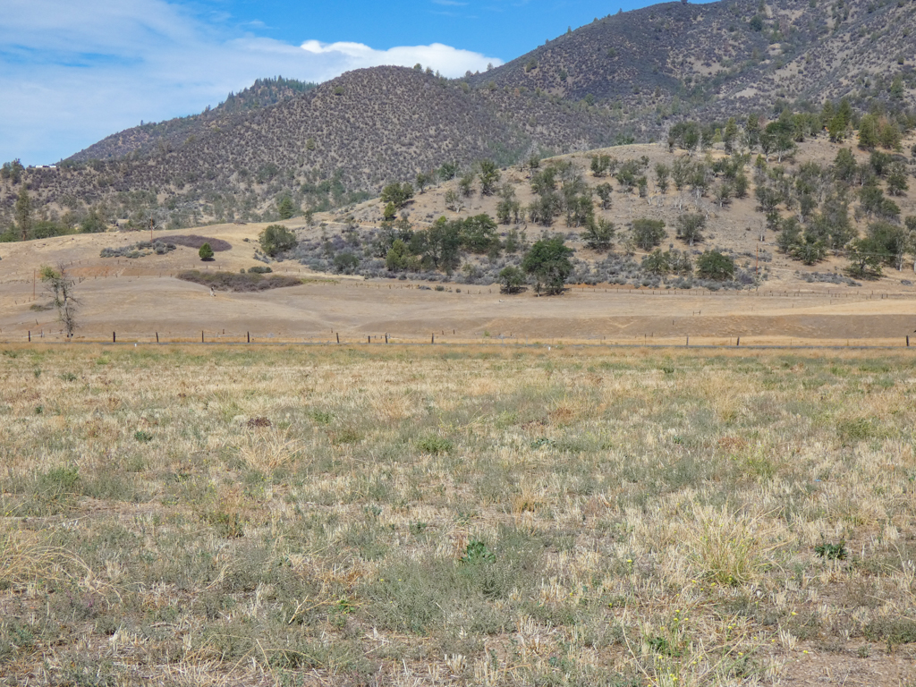 North Scott Valley acreage