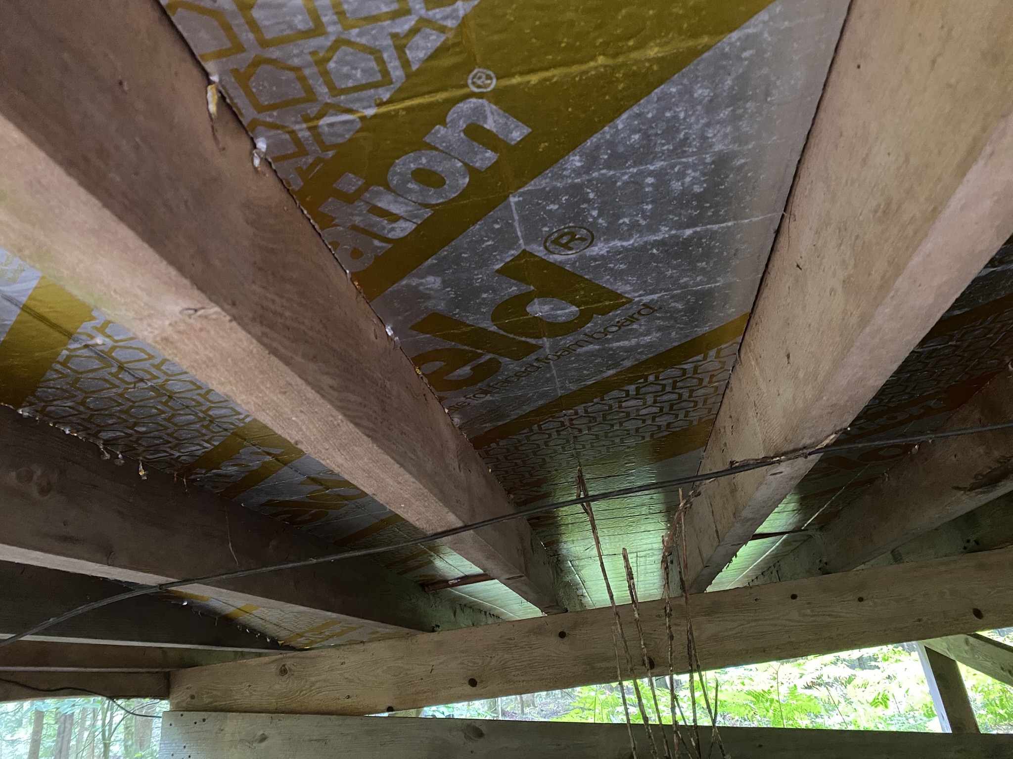 Cabin on the Little River