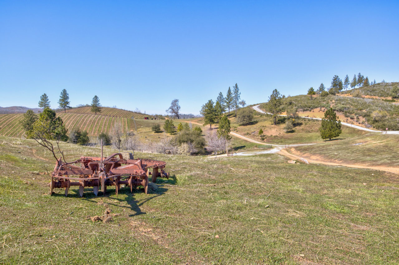 Tailem Bend Ranch and Vineyard
