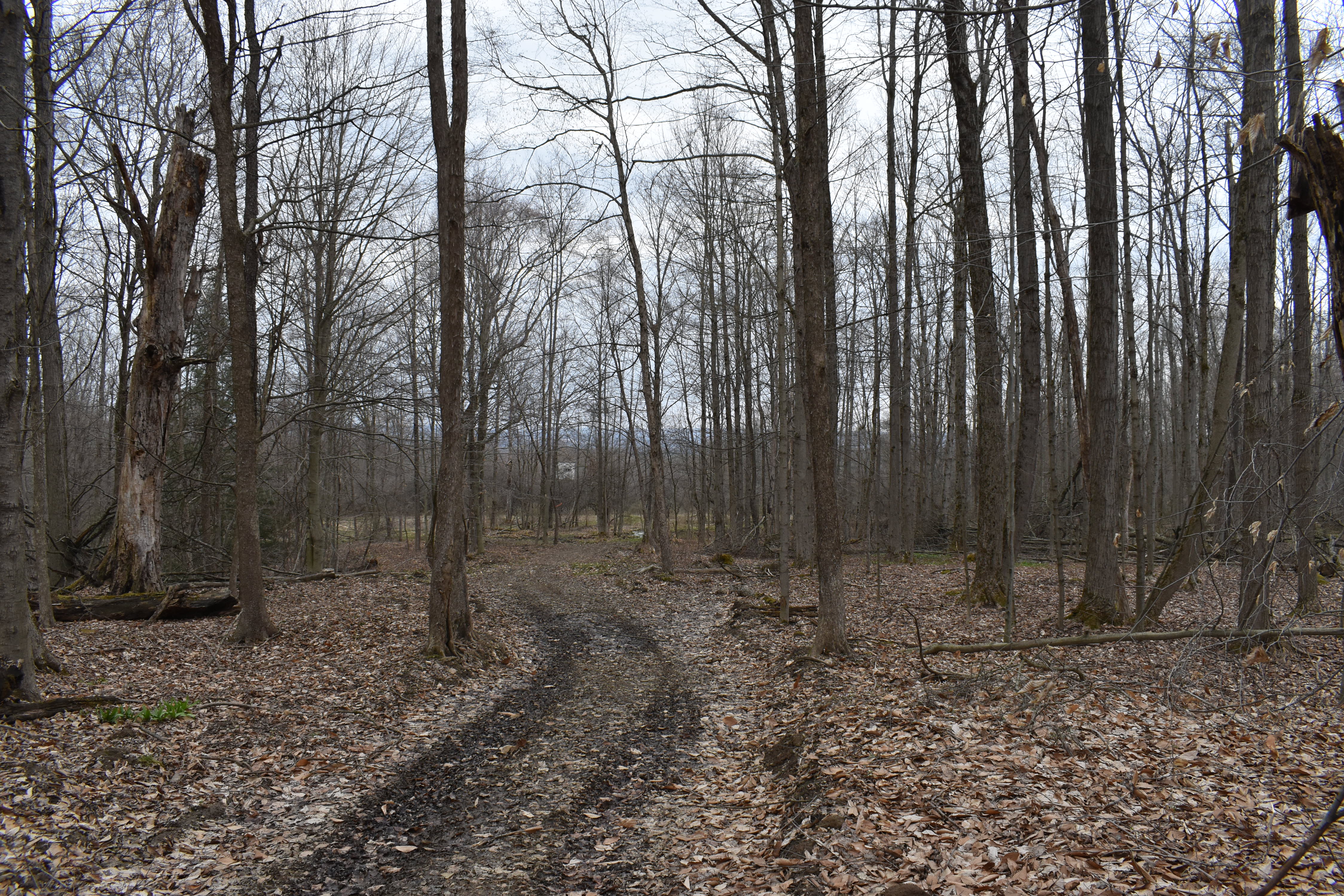 Hammond Hill Hideaway