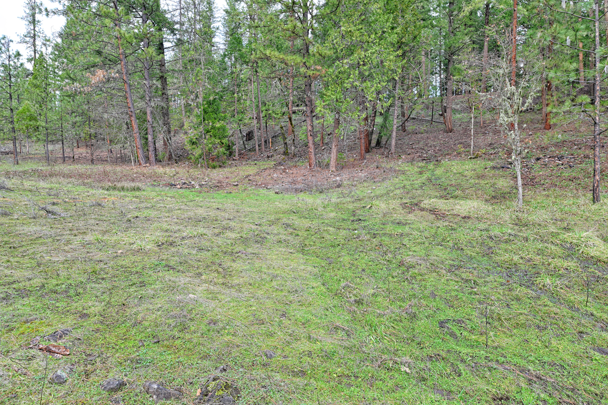 Listing Image 29