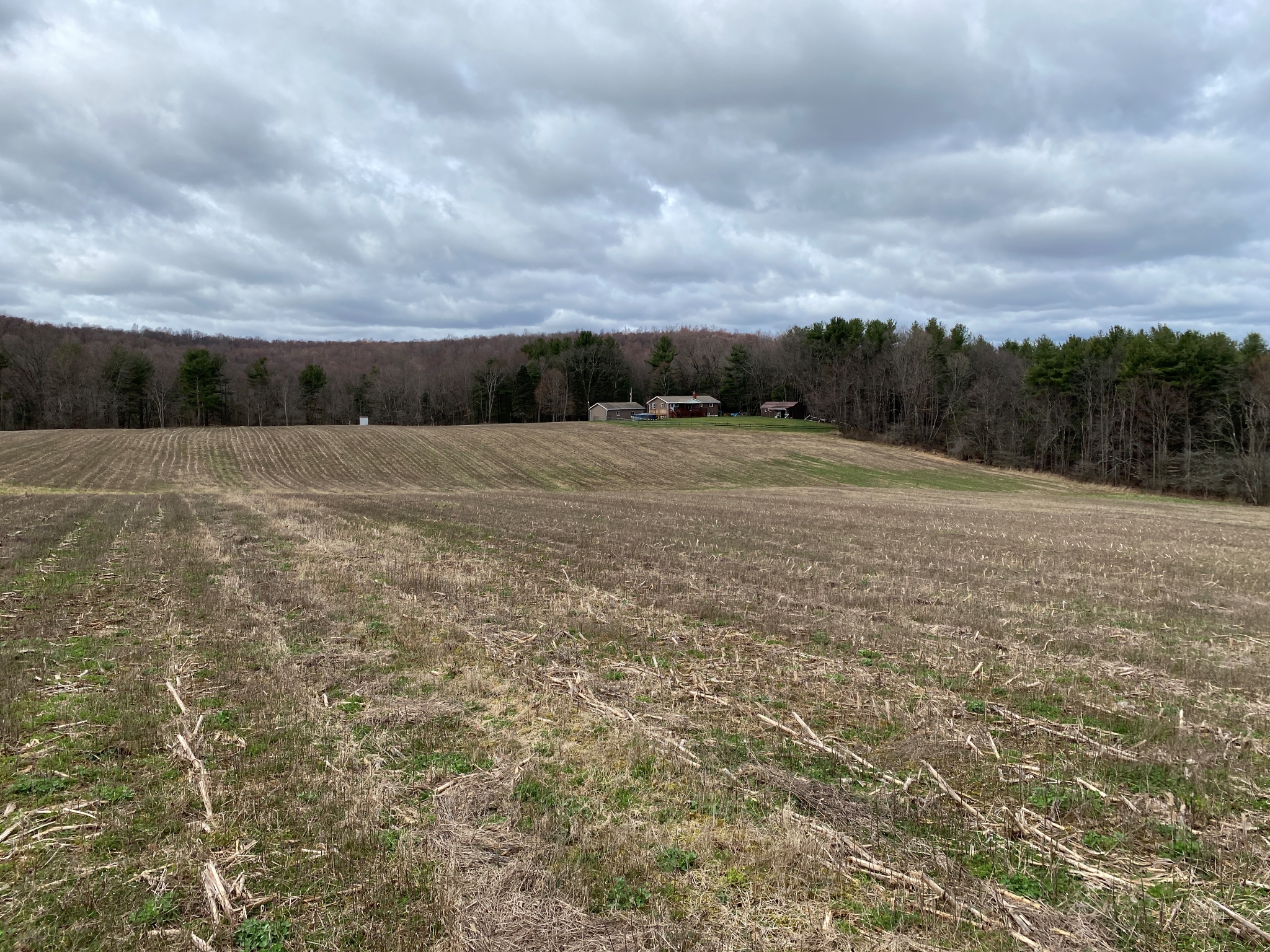 Mark's Meadow