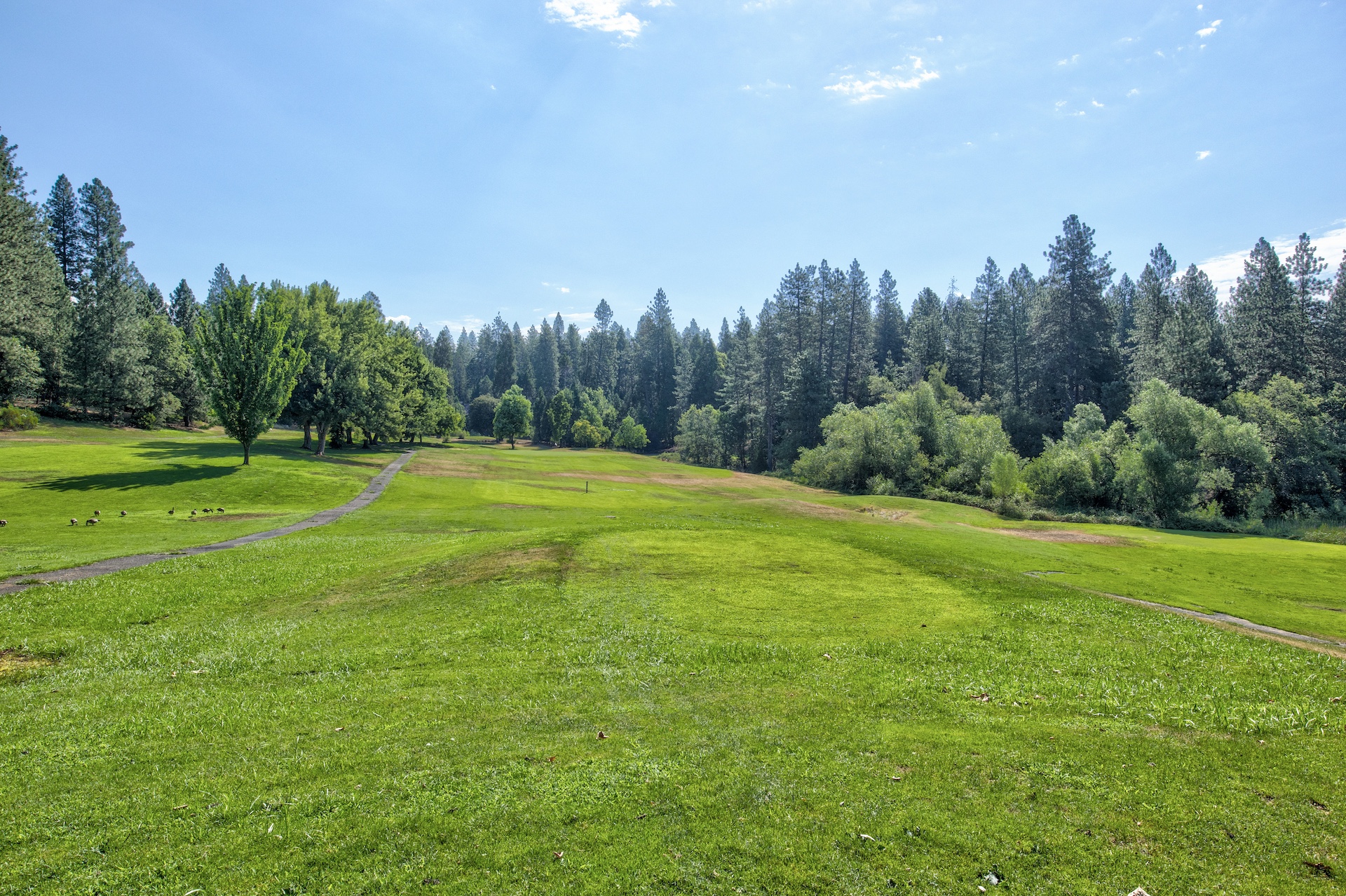 Listing Image 42