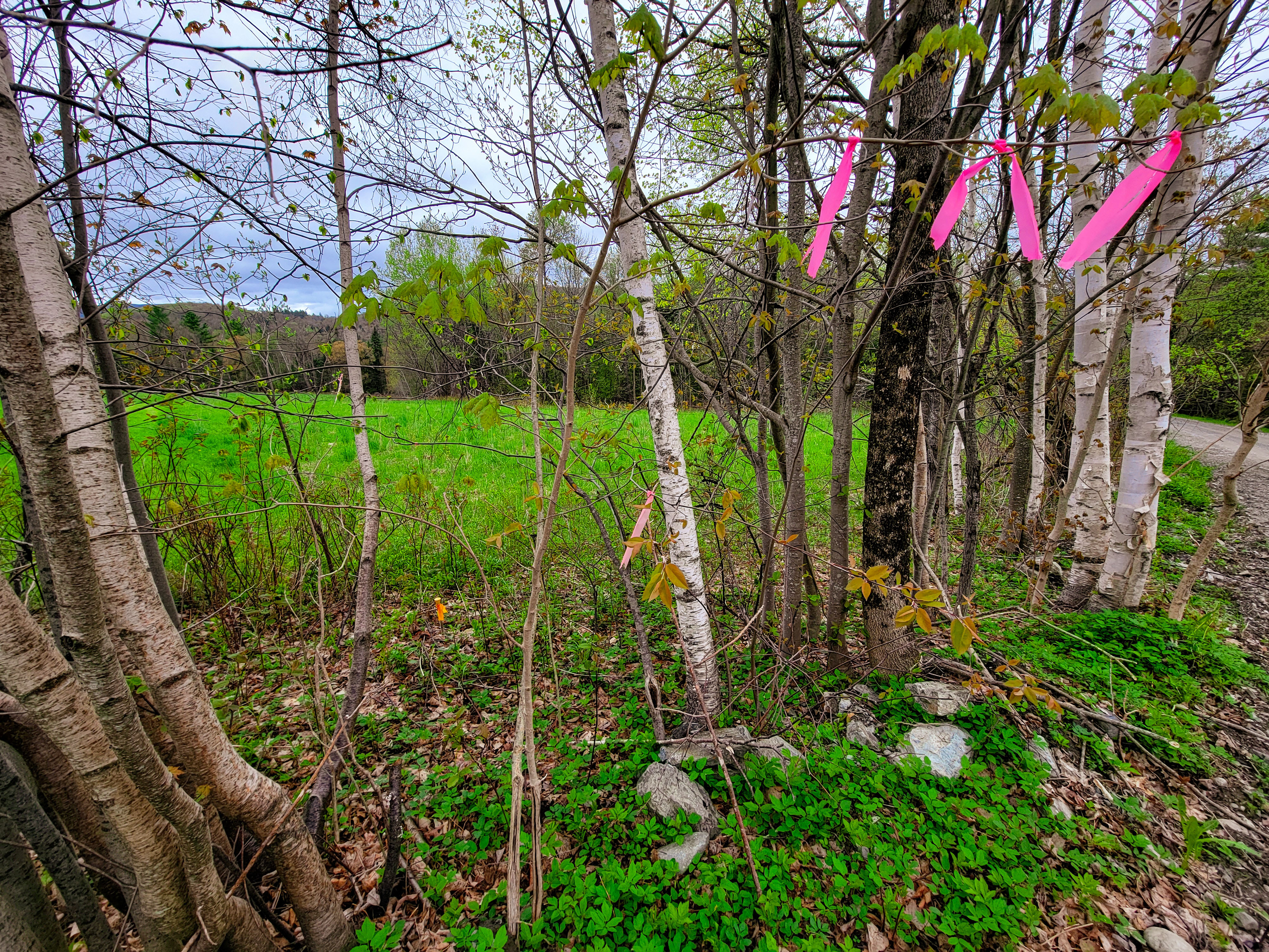 855 Campbell Rd - Waterford