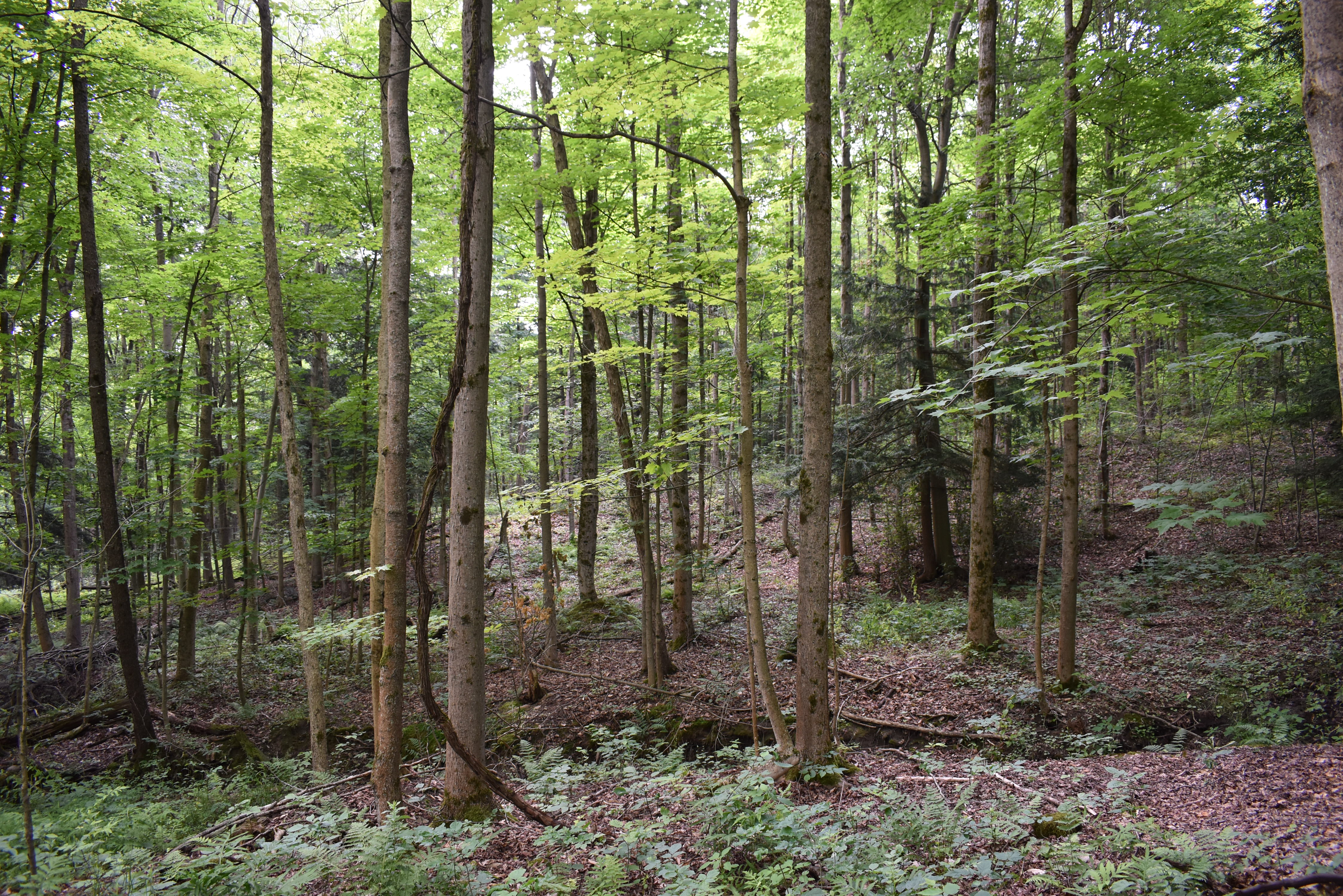 Listing Image 27