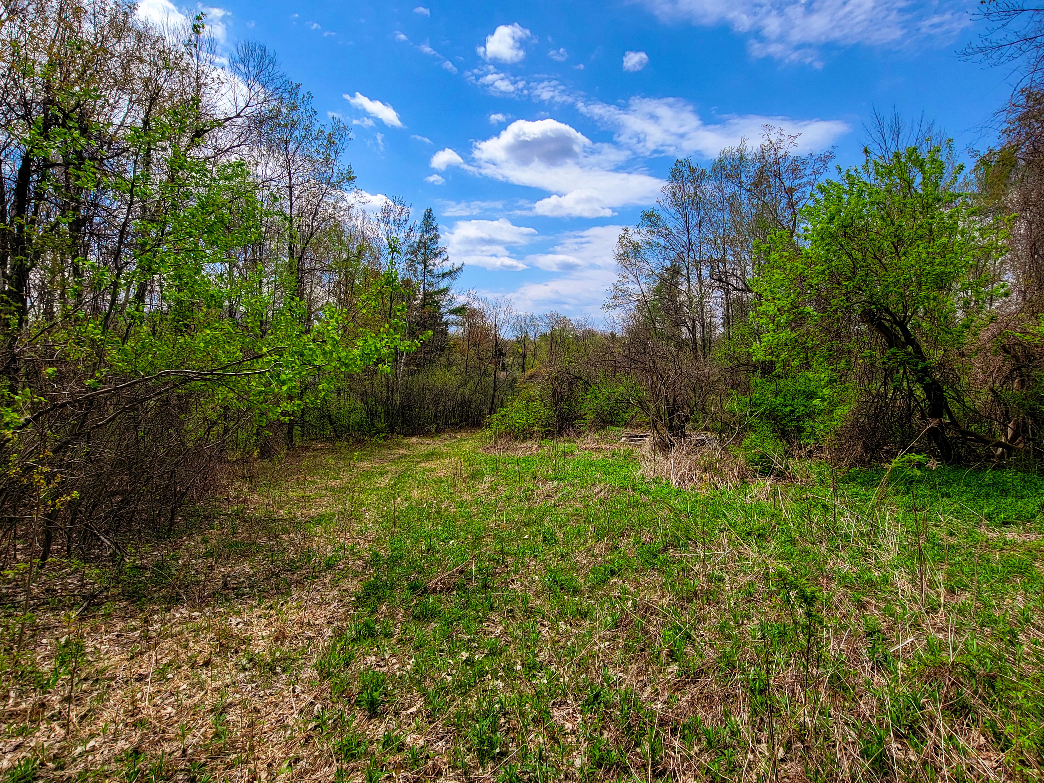 Listing Image 52
