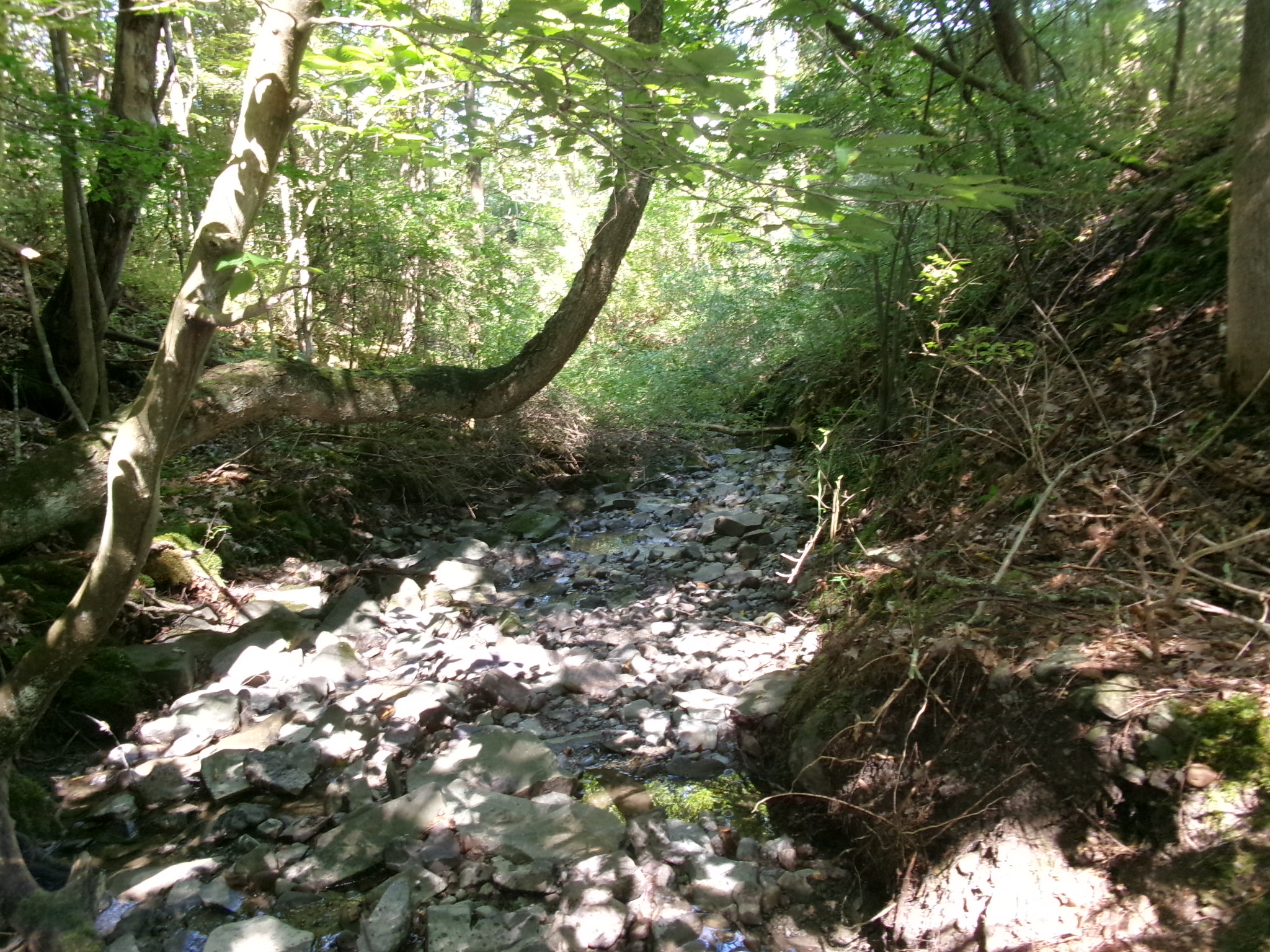 Listing Image 32