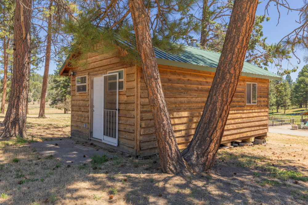 Listing Image 21