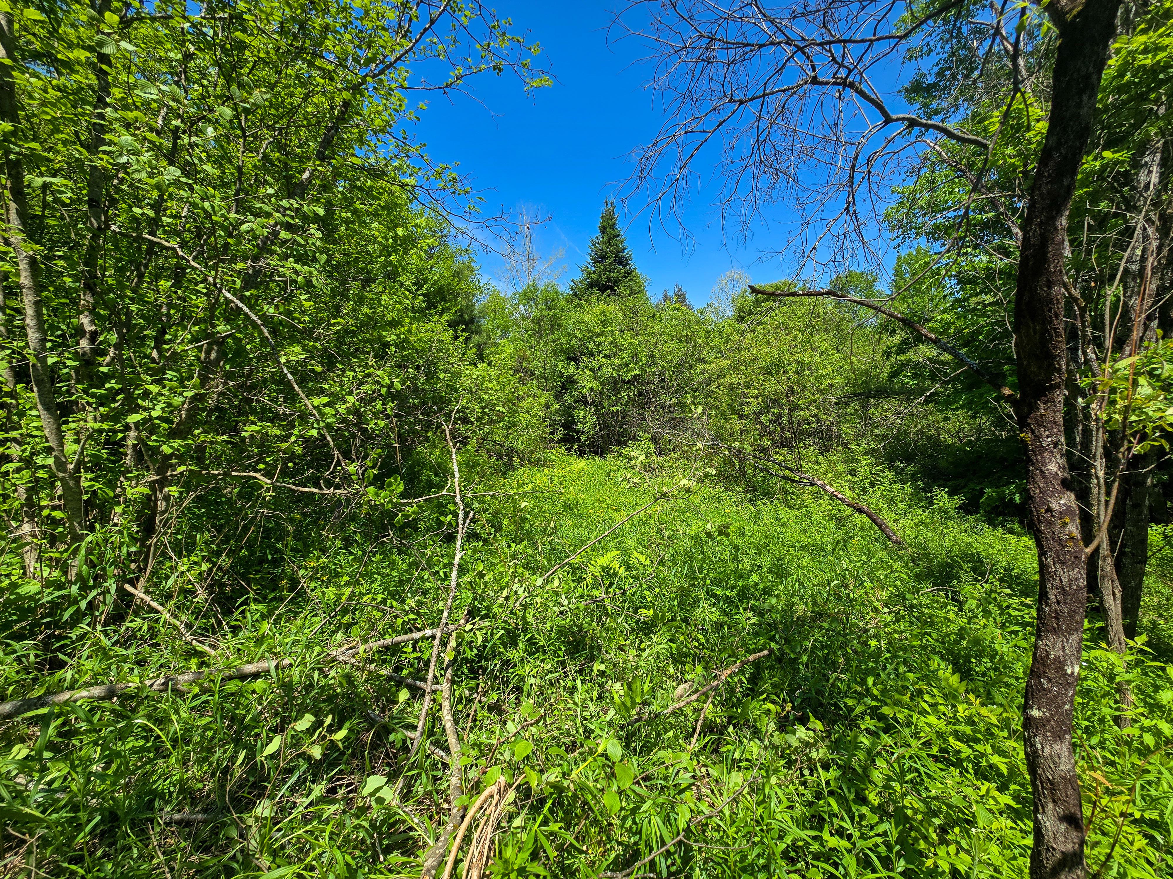 150 Spur Rd - Bloomfield