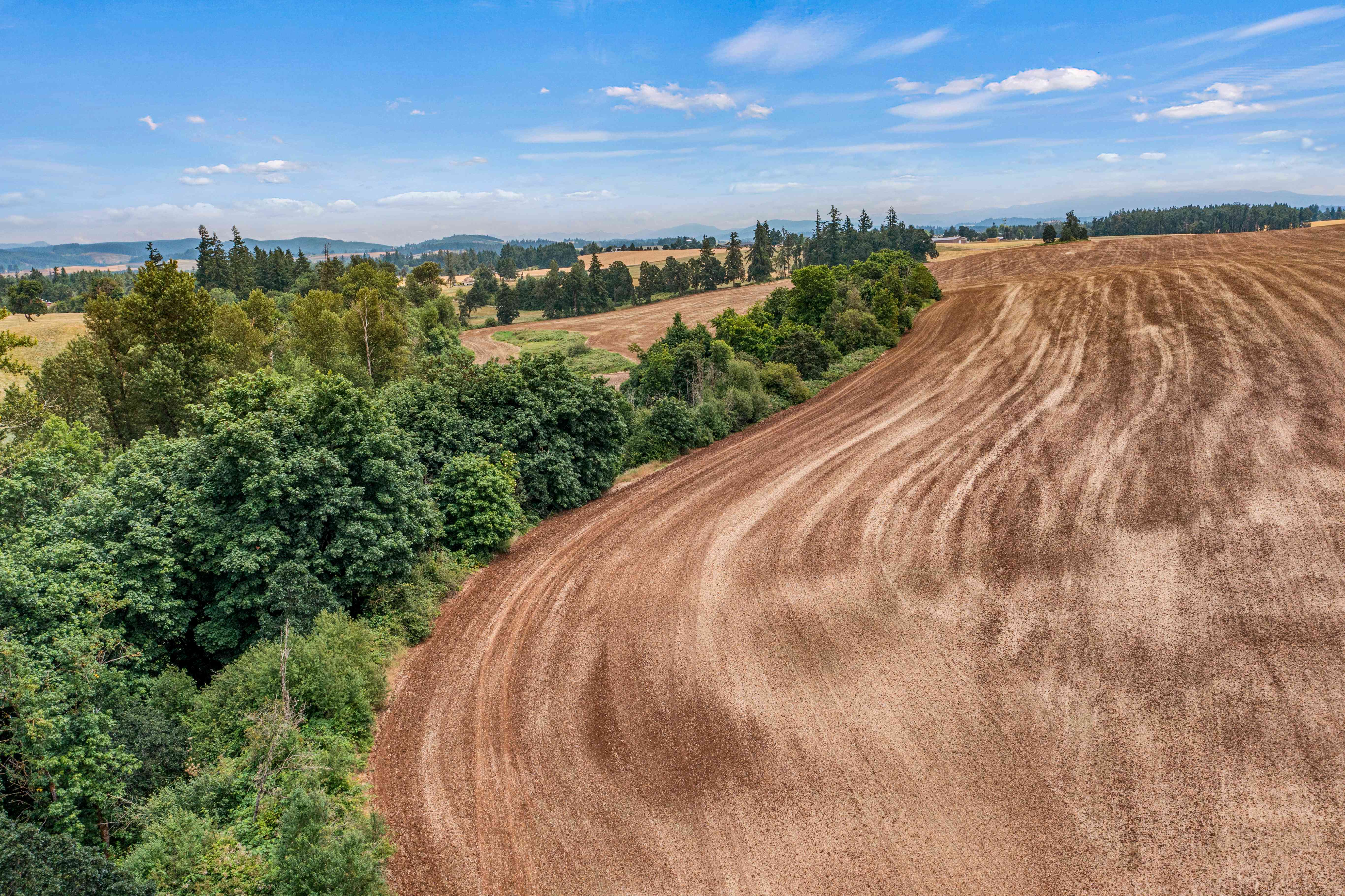 Sublimity 152 — Productive Willamette Valley Farm for Sale with Creek Frontage and Homesite Potential