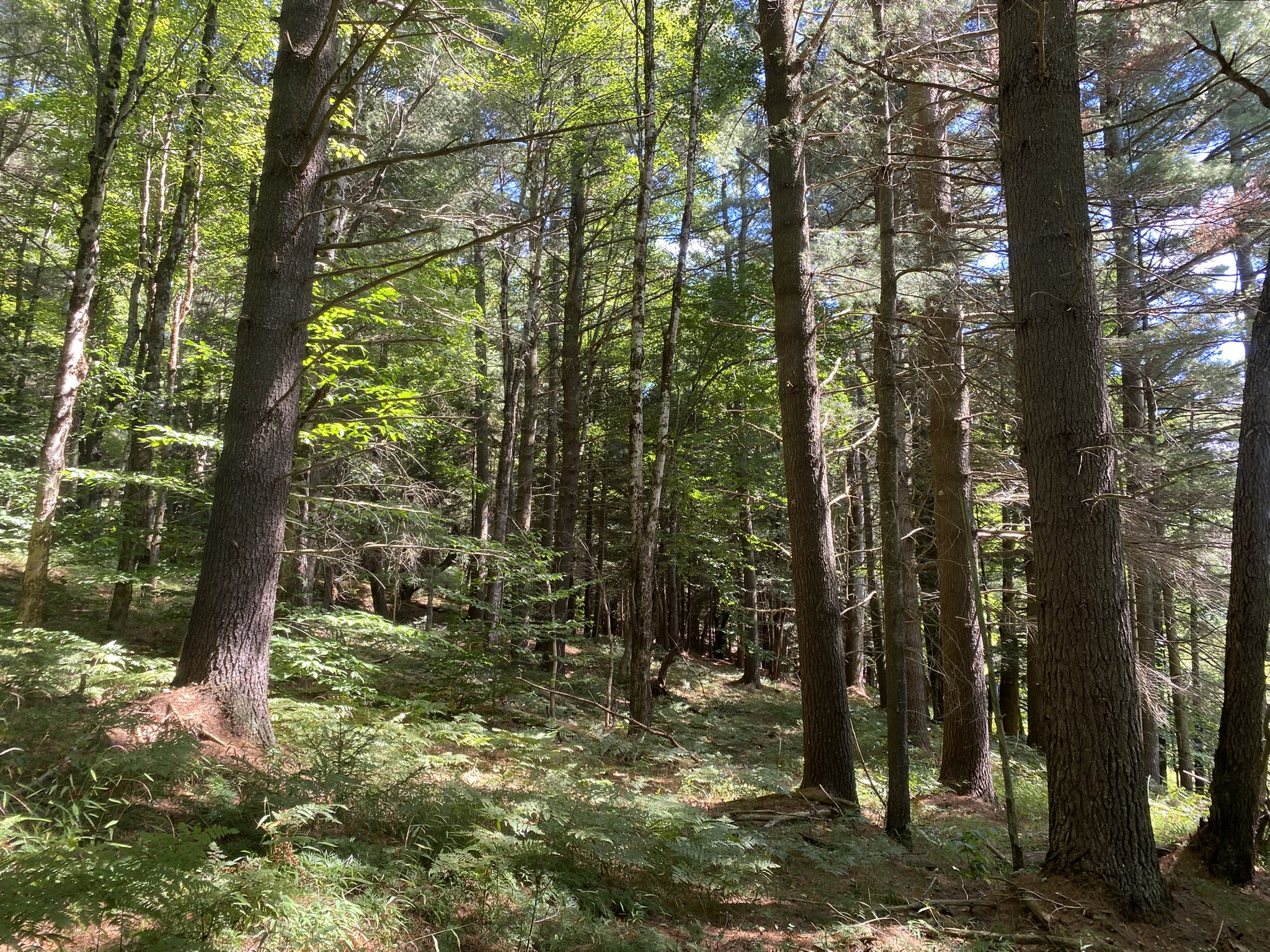Plumb Brook Country Retreat